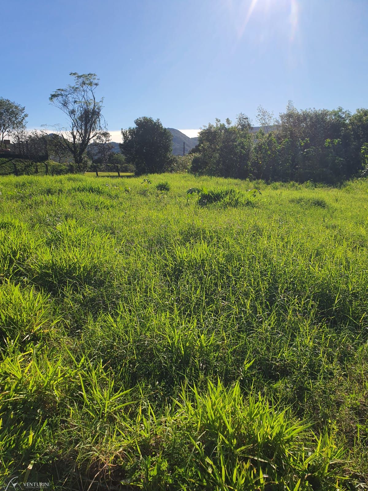 Terreno à venda, 432m² - Foto 3