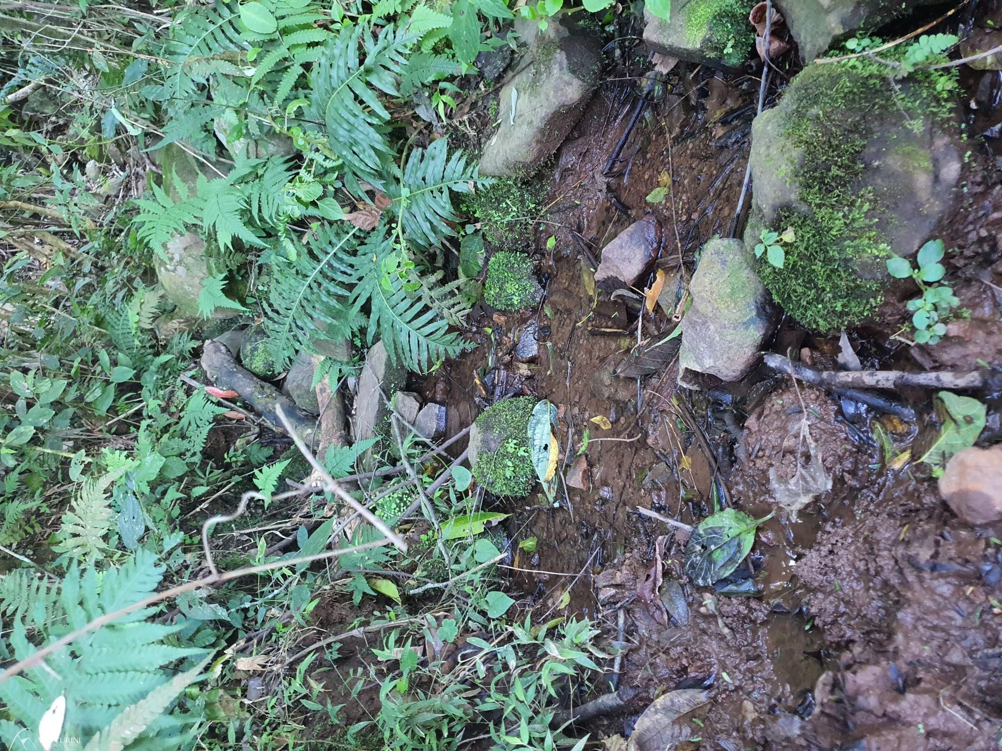 Loteamento e Condomínio à venda, 700000000m² - Foto 17