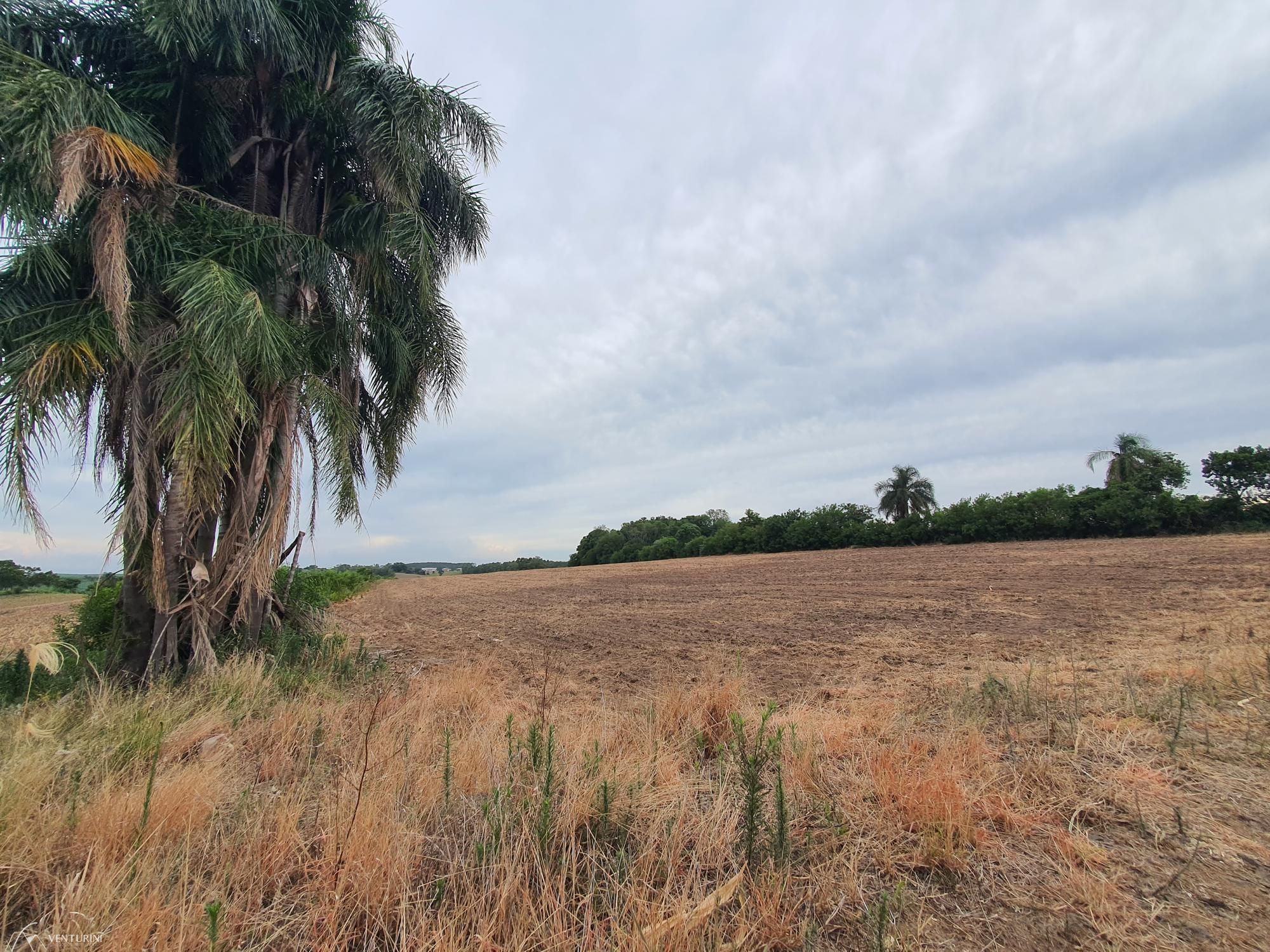 Loteamento e Condomínio à venda, 280000000m² - Foto 1