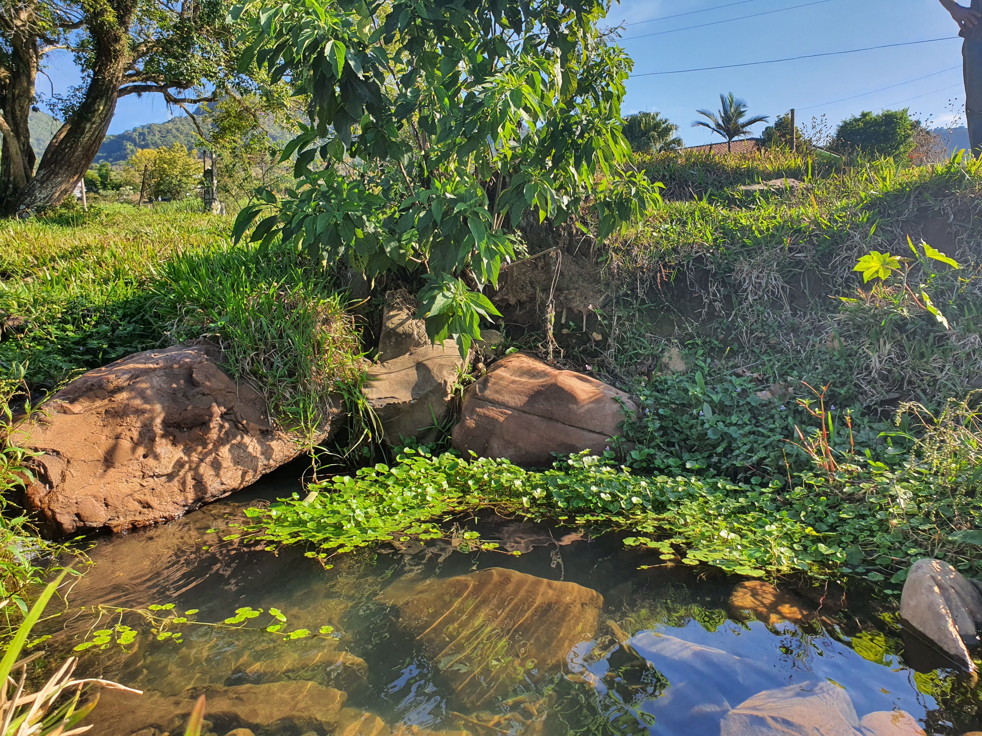 Terreno, 7197 m² - Foto 7