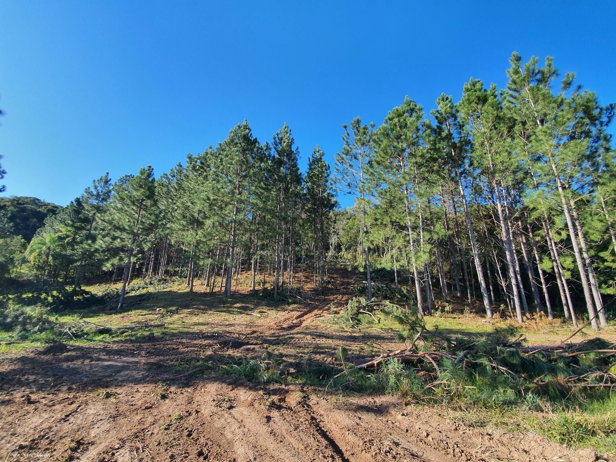 Loteamento e Condomínio à venda, 700000000m² - Foto 11
