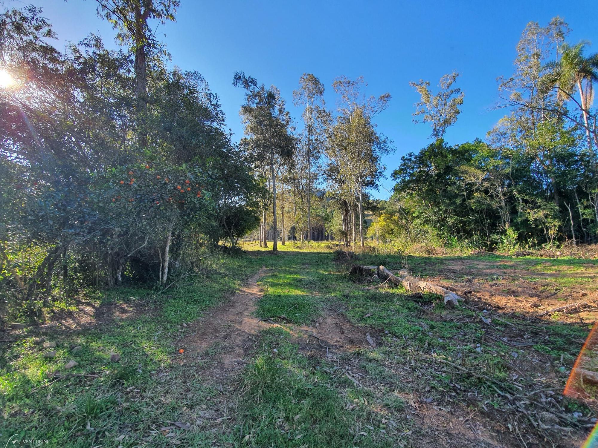Loteamento e Condomínio à venda, 700000000m² - Foto 6