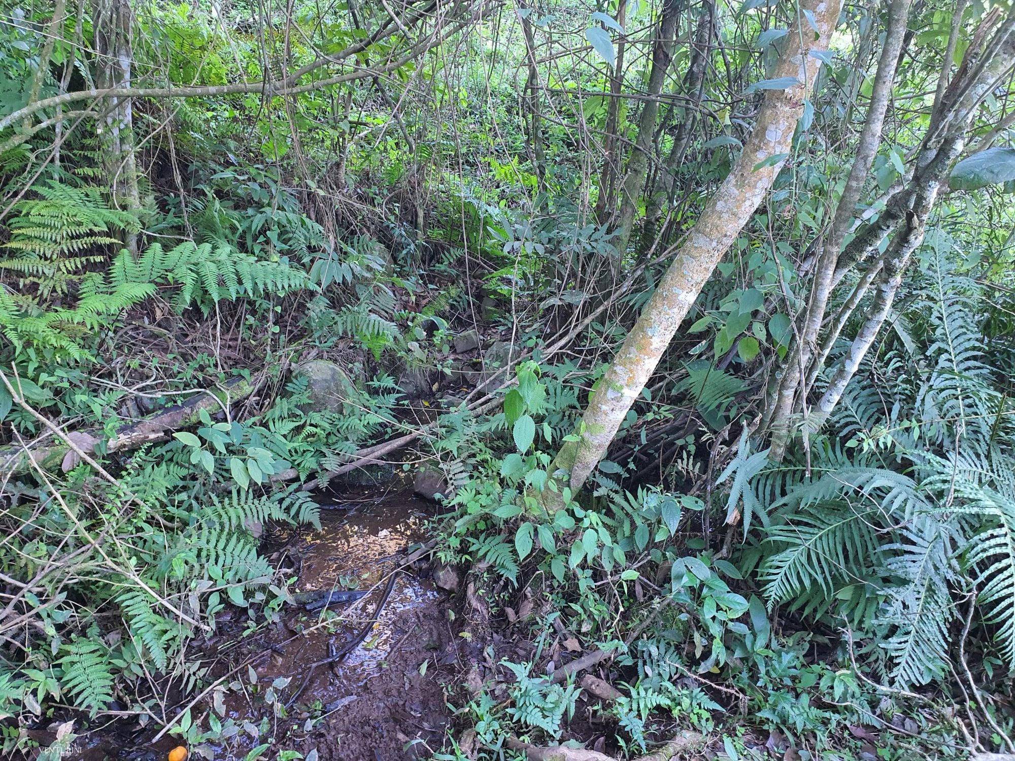 Loteamento e Condomínio à venda, 700000000m² - Foto 16