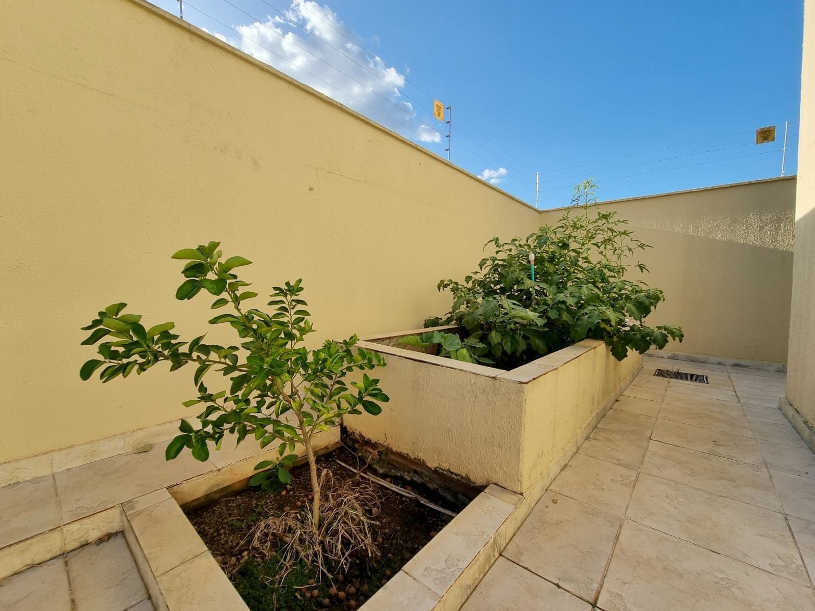 Casa, 4 quartos, 220 m² - Foto 12