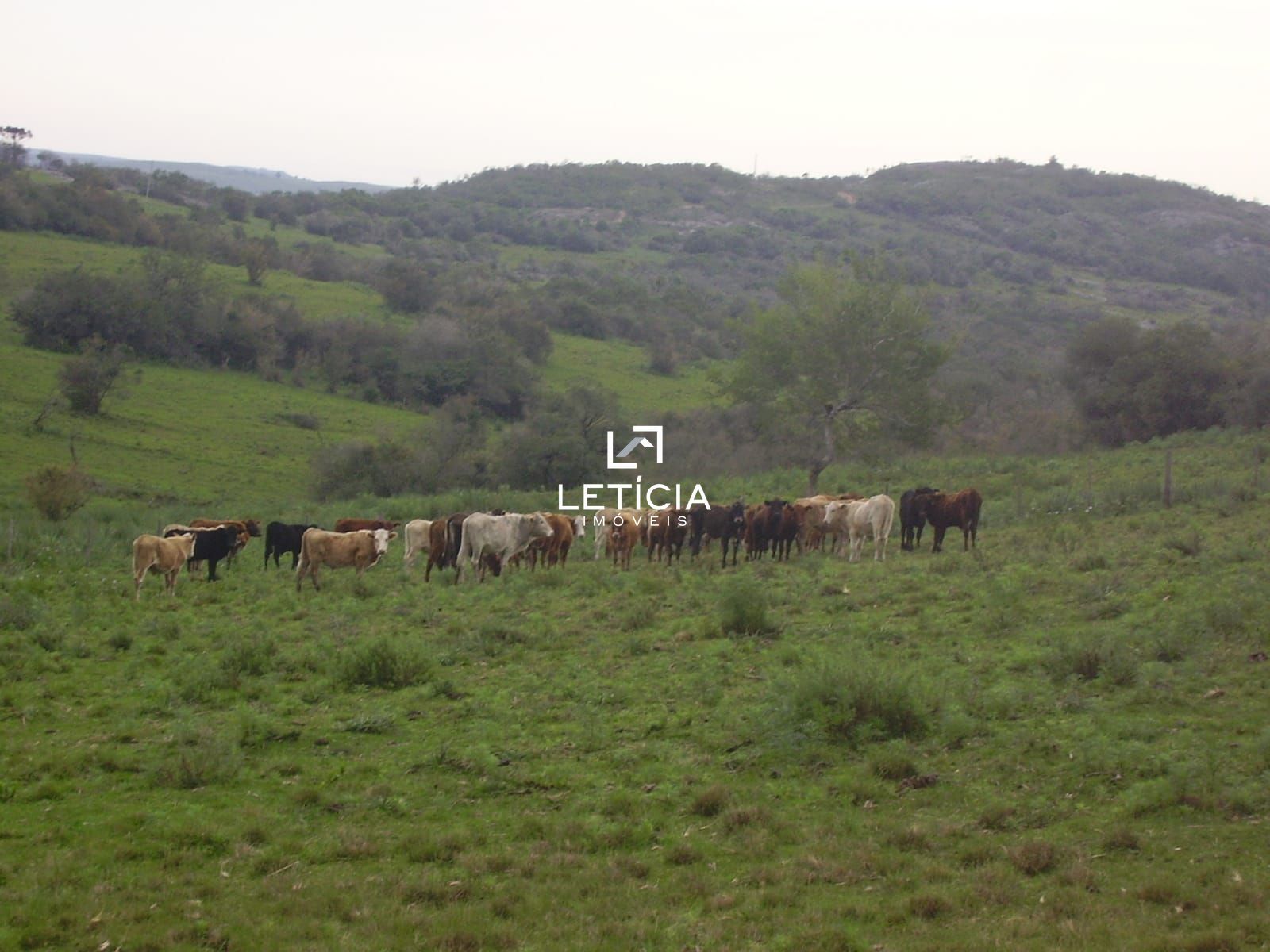 Terreno comercial à venda  no Cidade Jardim - Caçapava do Sul, RS. Imóveis