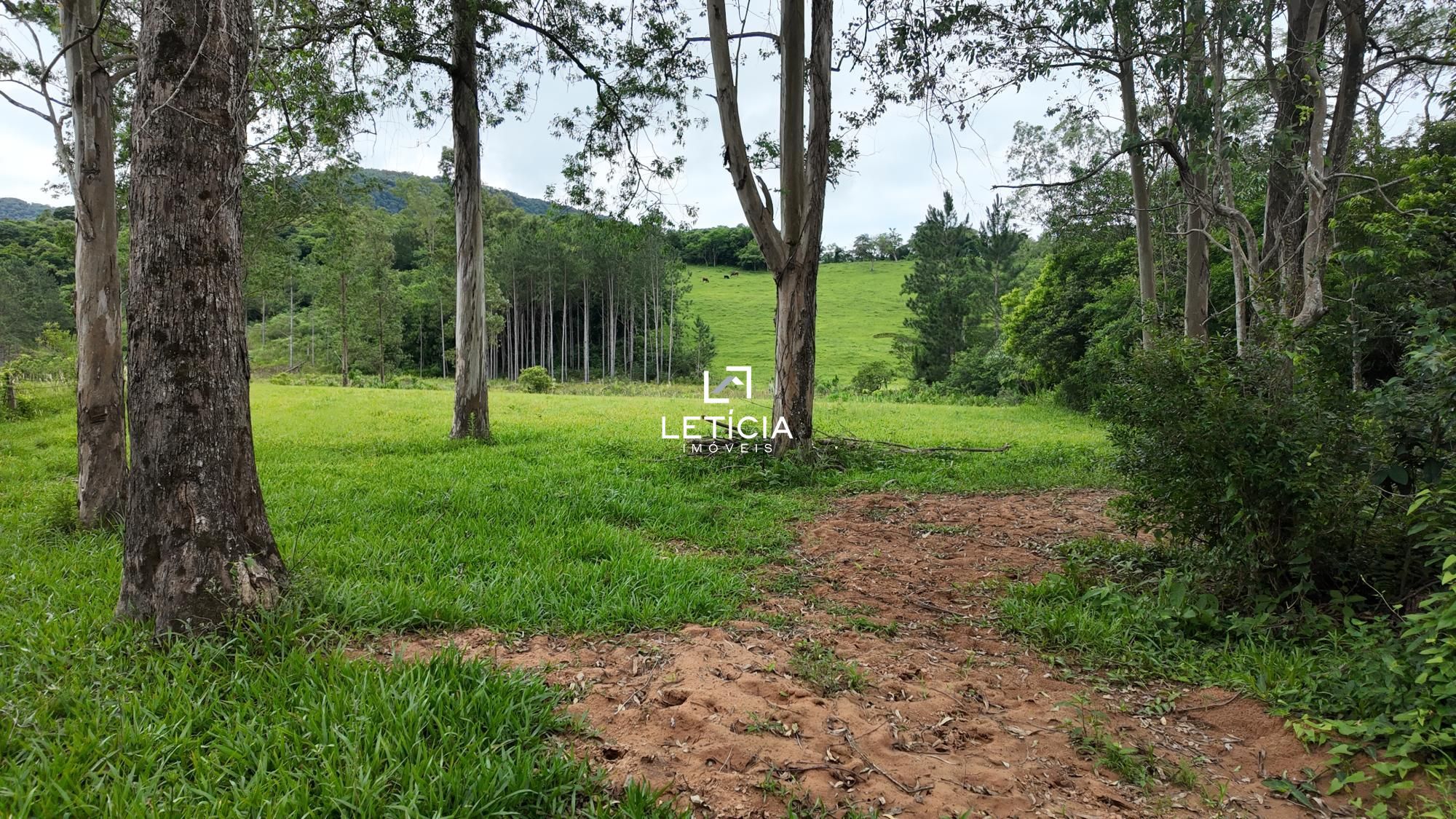 Terreno comercial  venda  no Zona Rural - So Joo do Polsine, RS. Imveis