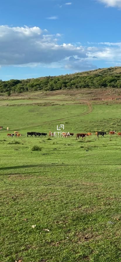 Terreno comercial à venda  no Zona Rural - Santana do Livramento, RS. Imóveis