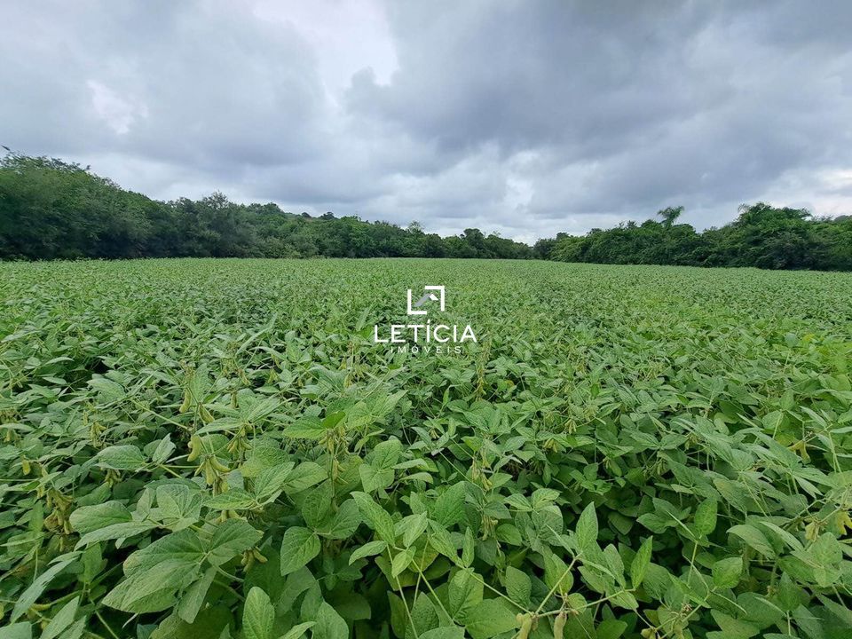 Terreno comercial  venda  no Zona Rural - Cachoeira do Sul, RS. Imveis