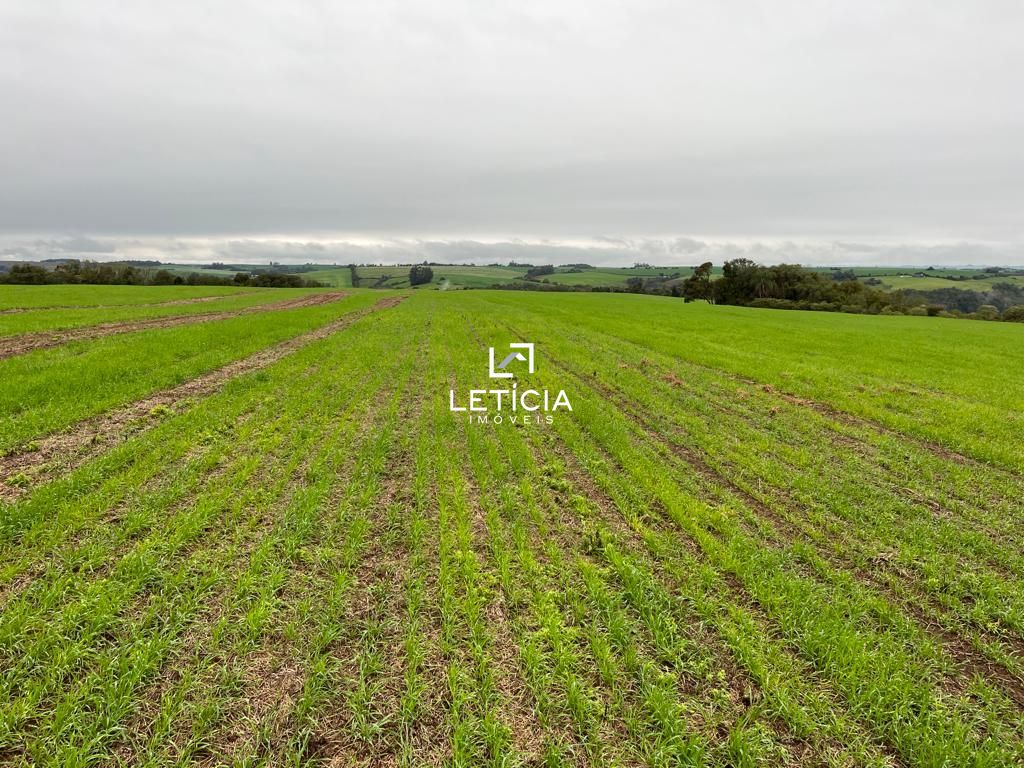 Terreno comercial  venda  no Zona Rural - Salto do Jacu, RS. Imveis