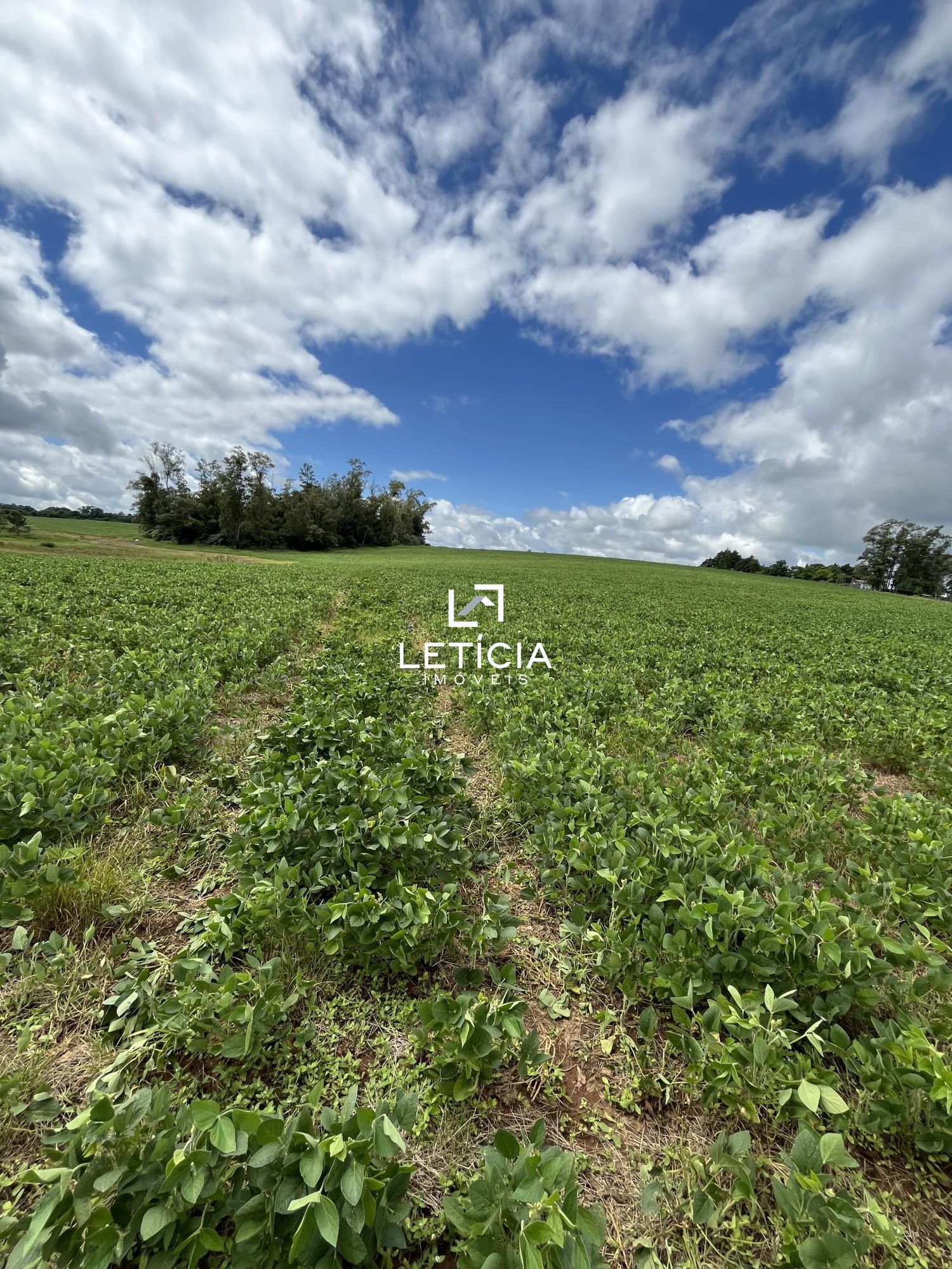 Terreno comercial  venda  no Pains - Santa Maria, RS. Imveis