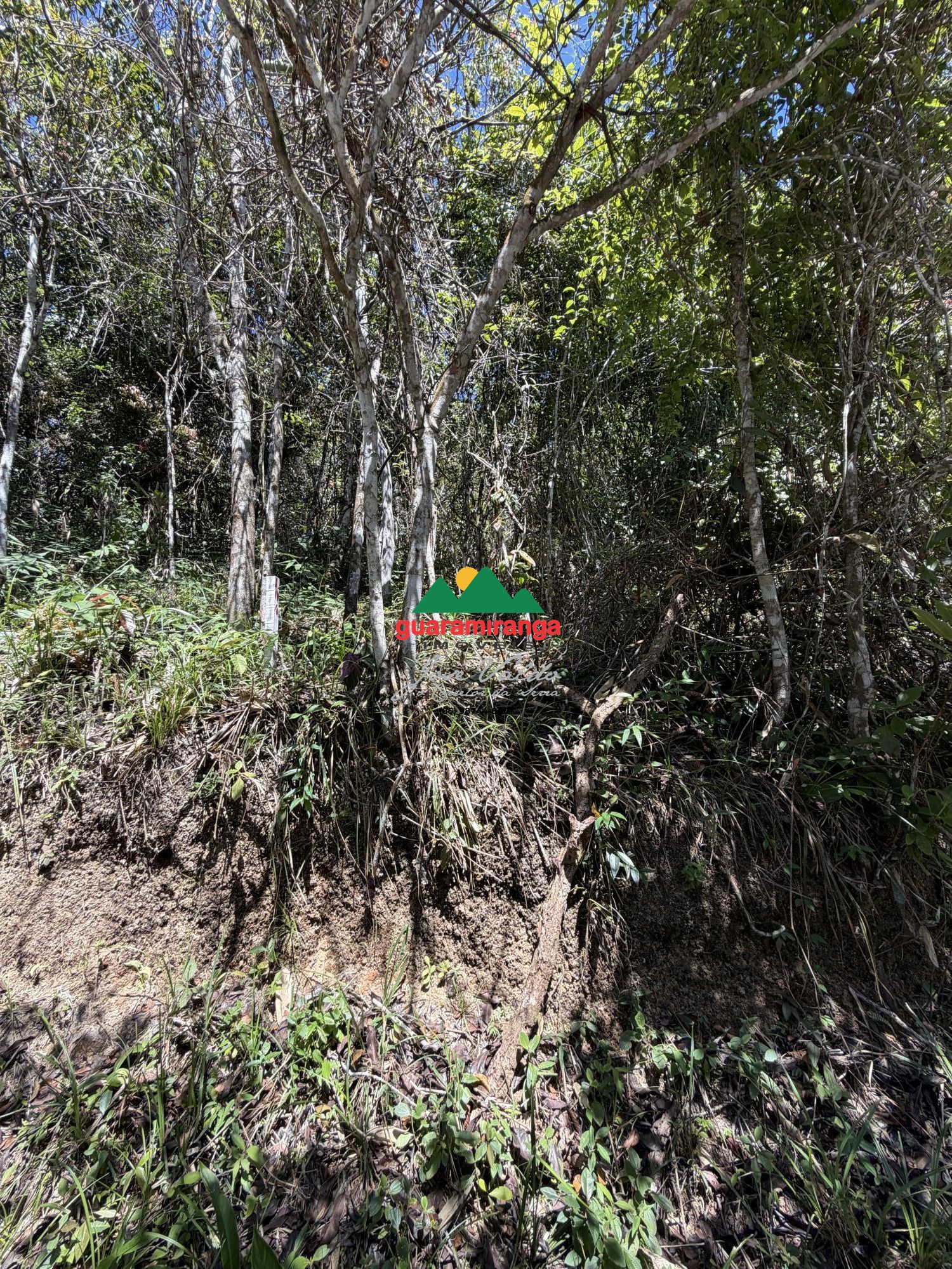 Um refúgio na serra de guaramiranga, com 4,15 hectares, muit - foto 3