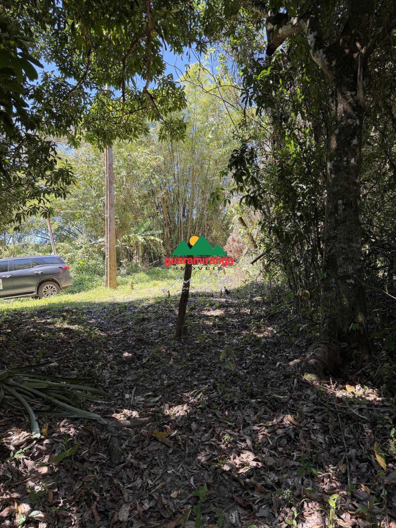 Um refúgio na serra de guaramiranga, com 4,15 hectares, muit - foto 7