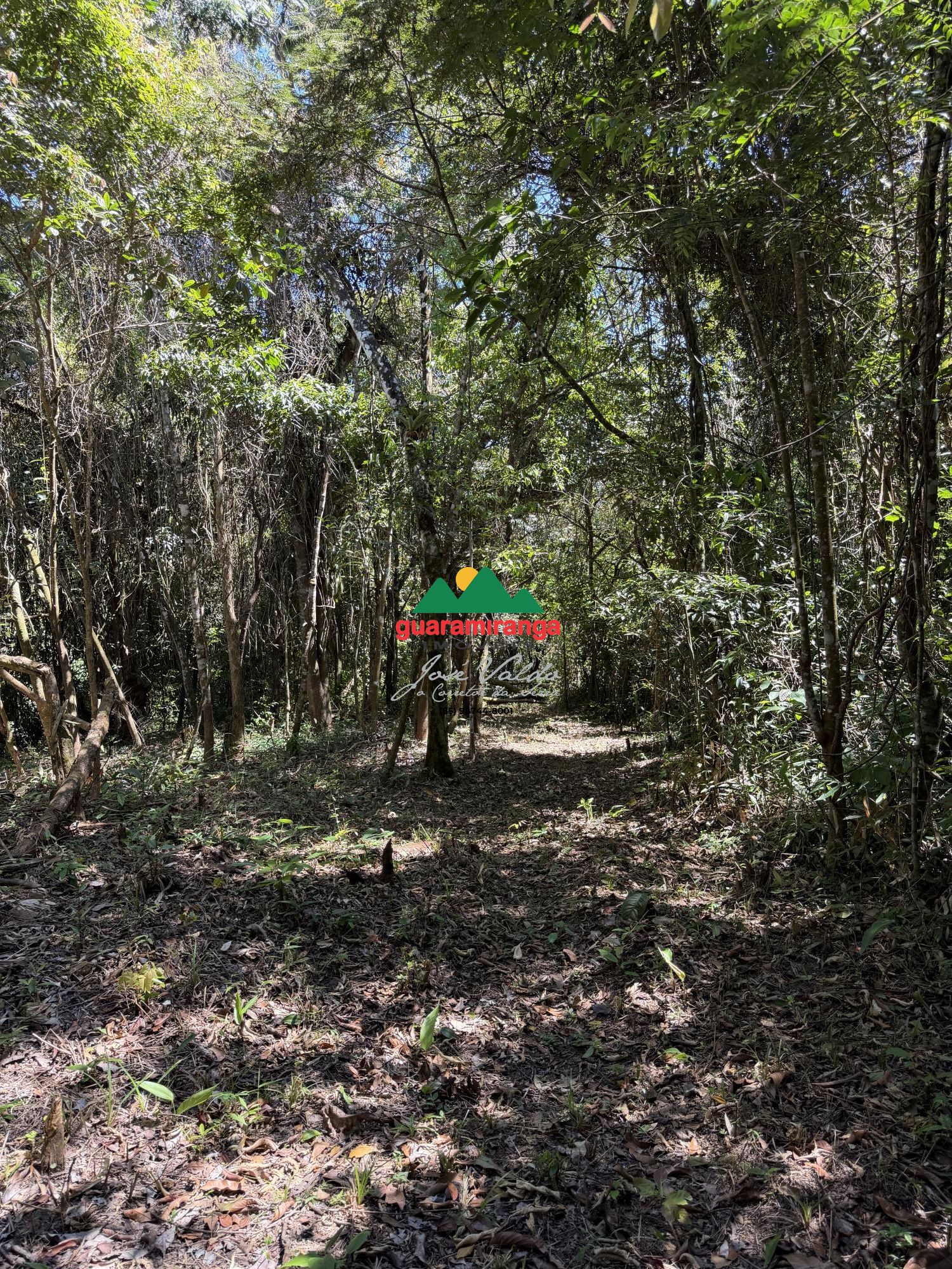 Um refúgio na serra de guaramiranga, com 4,15 hectares, muit - foto 4