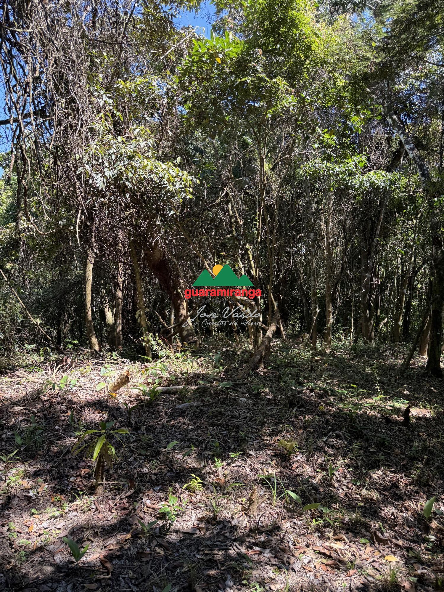 Um refúgio na serra de guaramiranga, com 4,15 hectares, muit - foto 5