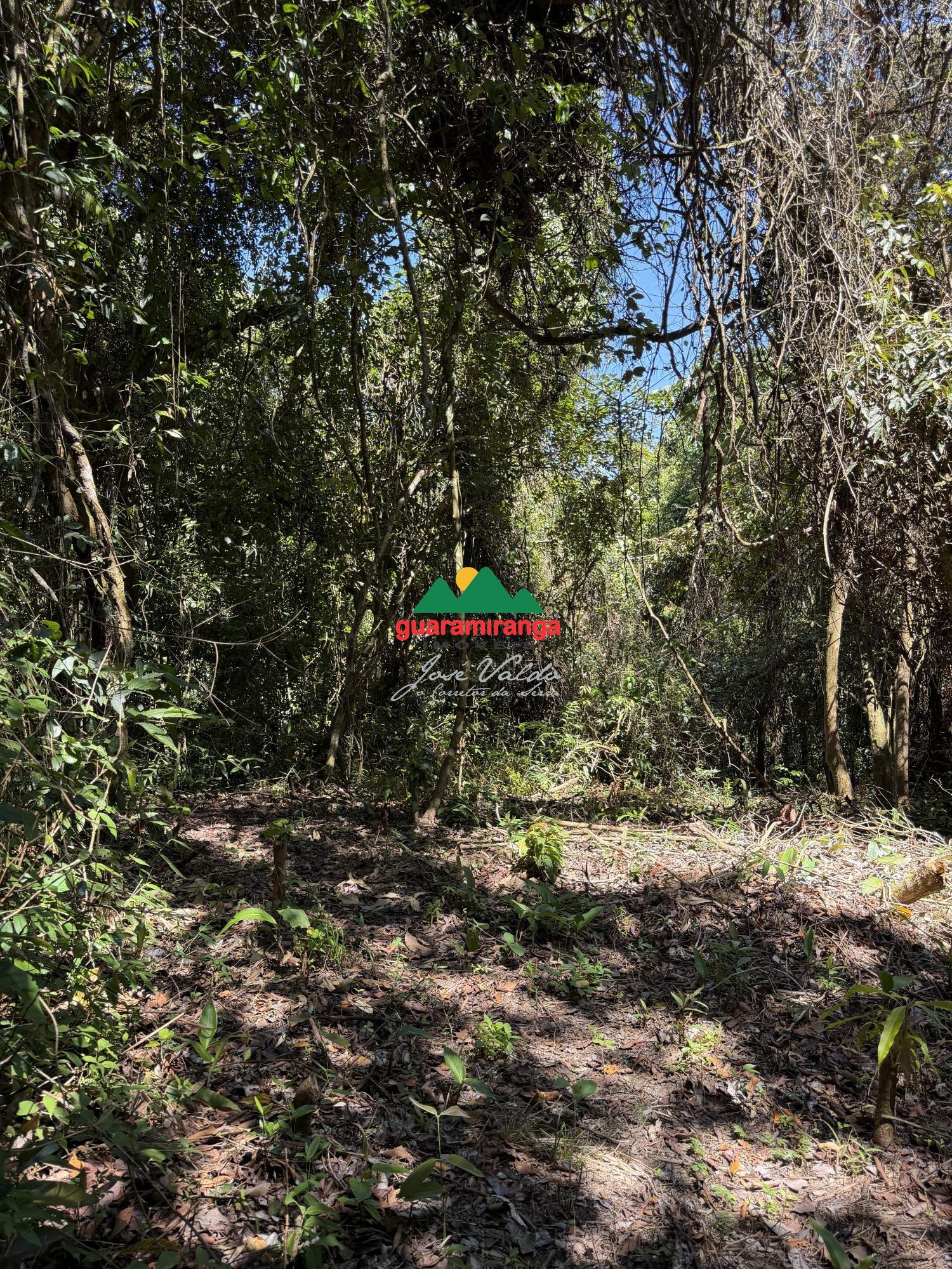 Um refúgio na serra de guaramiranga, com 4,15 hectares, muit - foto 6
