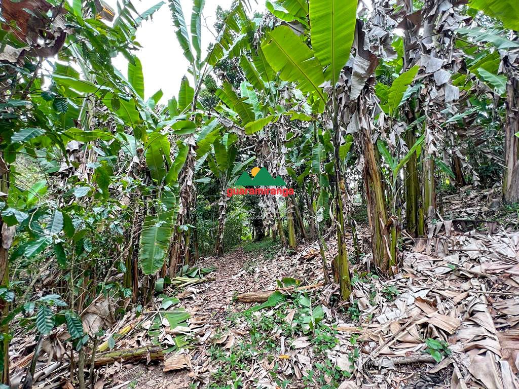 Sítio, 1 quarto, 39 hectares - Foto 19