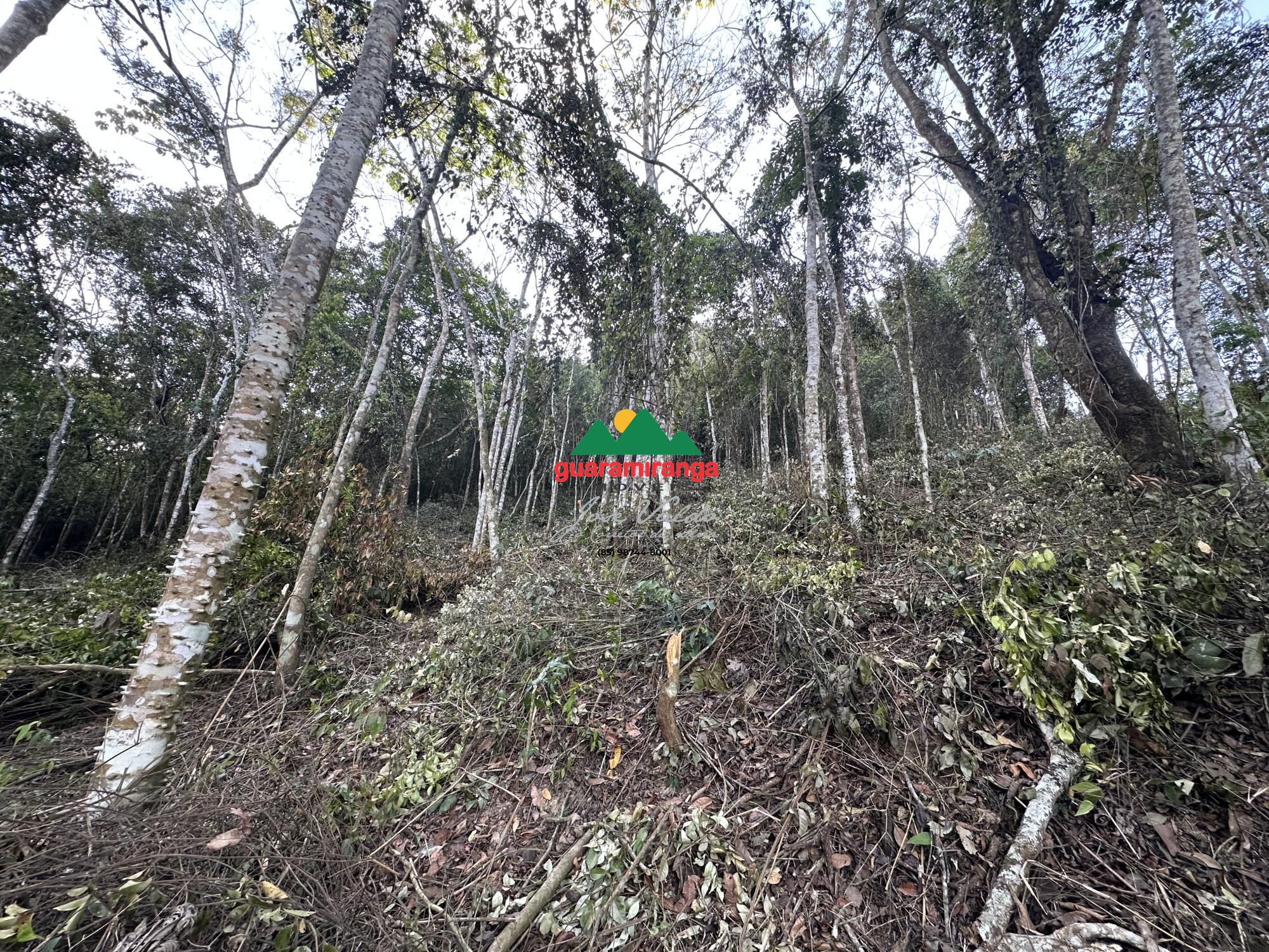 Terreno, 1074 m² - Foto 8