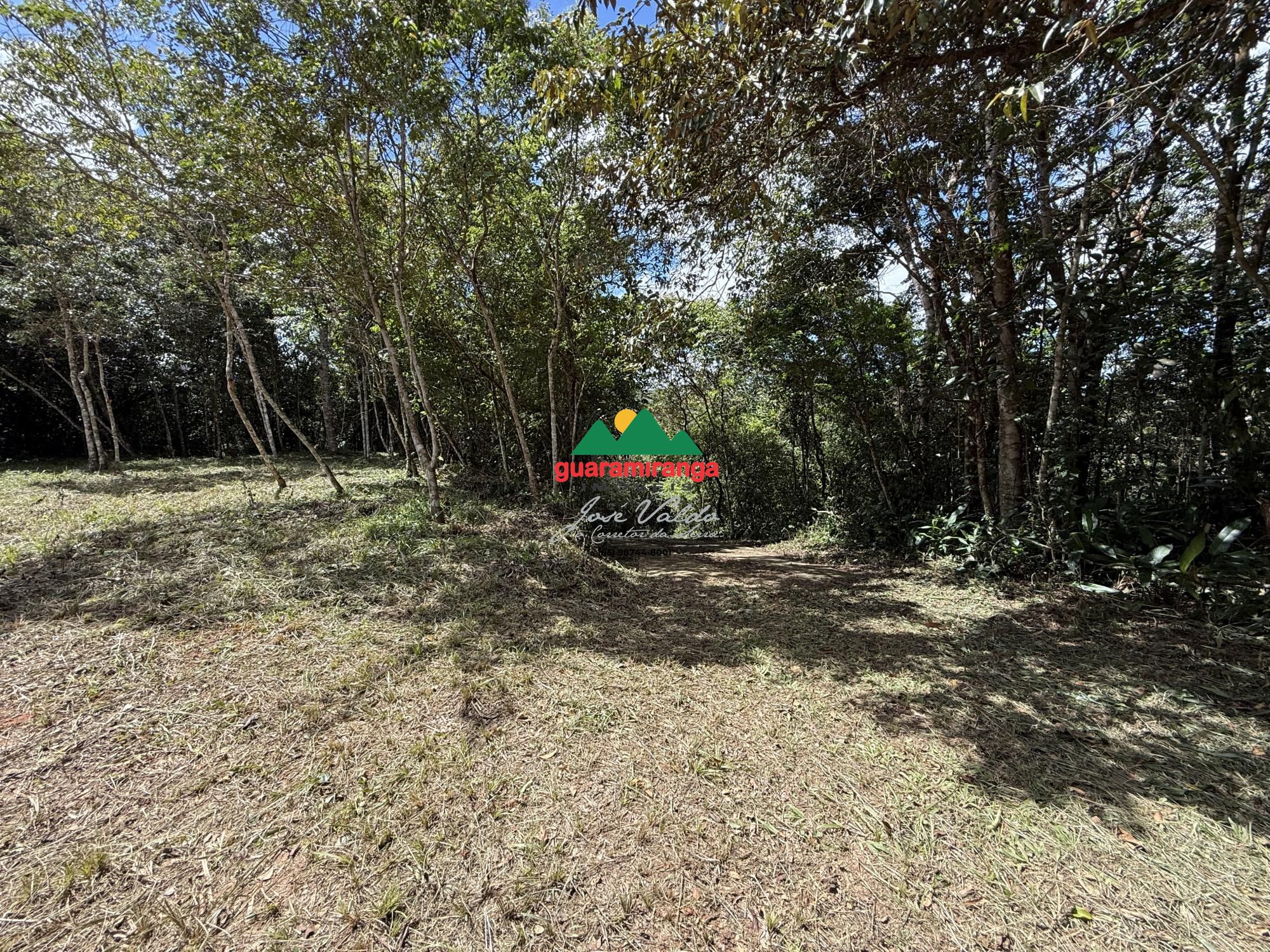 Terreno, 2 hectares - Foto 8