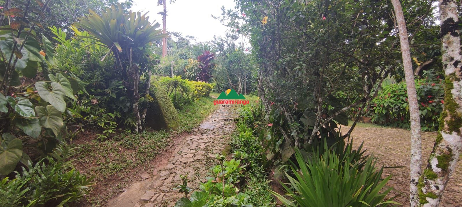 Sítio, 12 quartos, 60 hectares - Foto 15