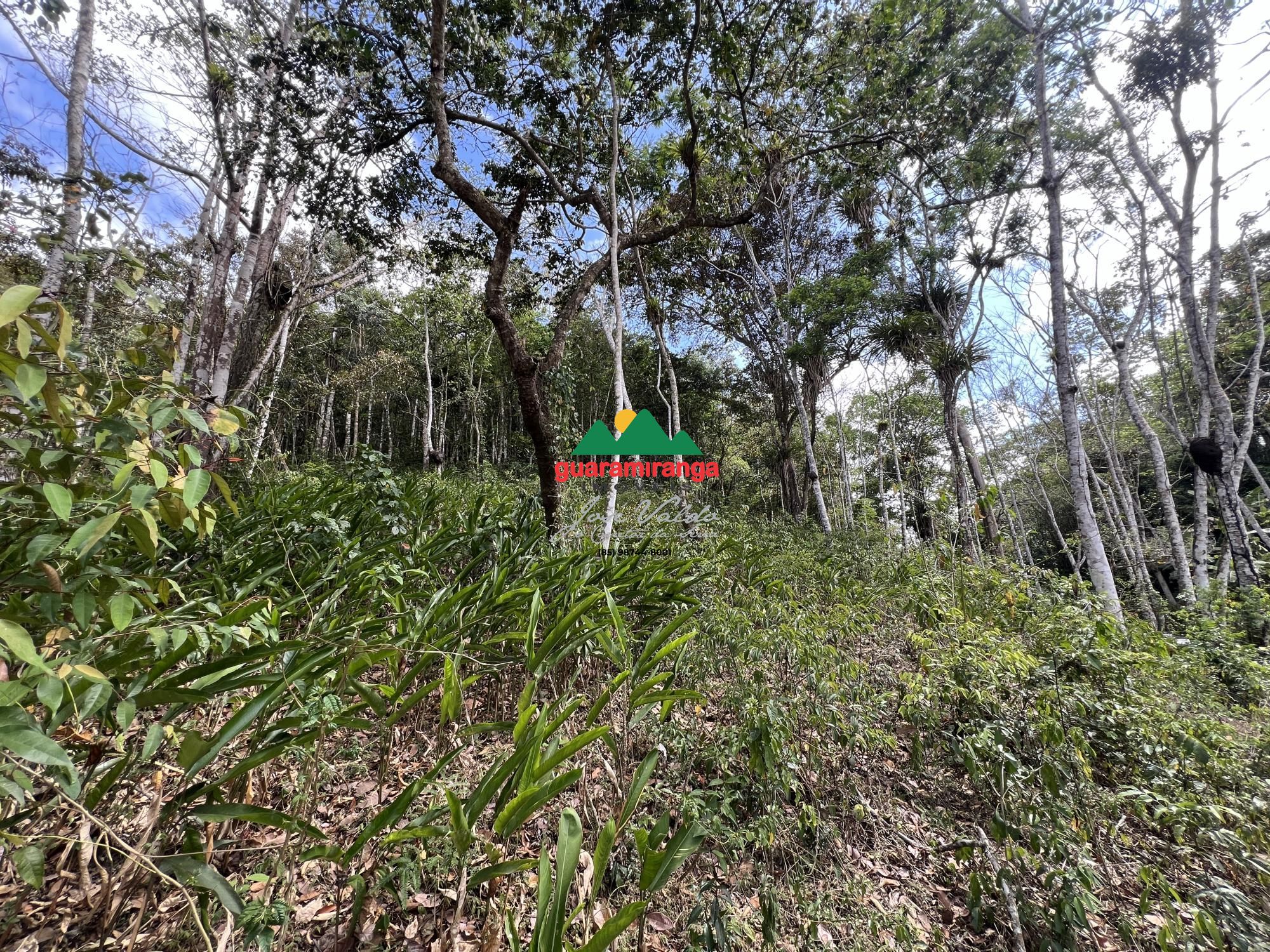 Terreno, 1 hectares - Foto 6