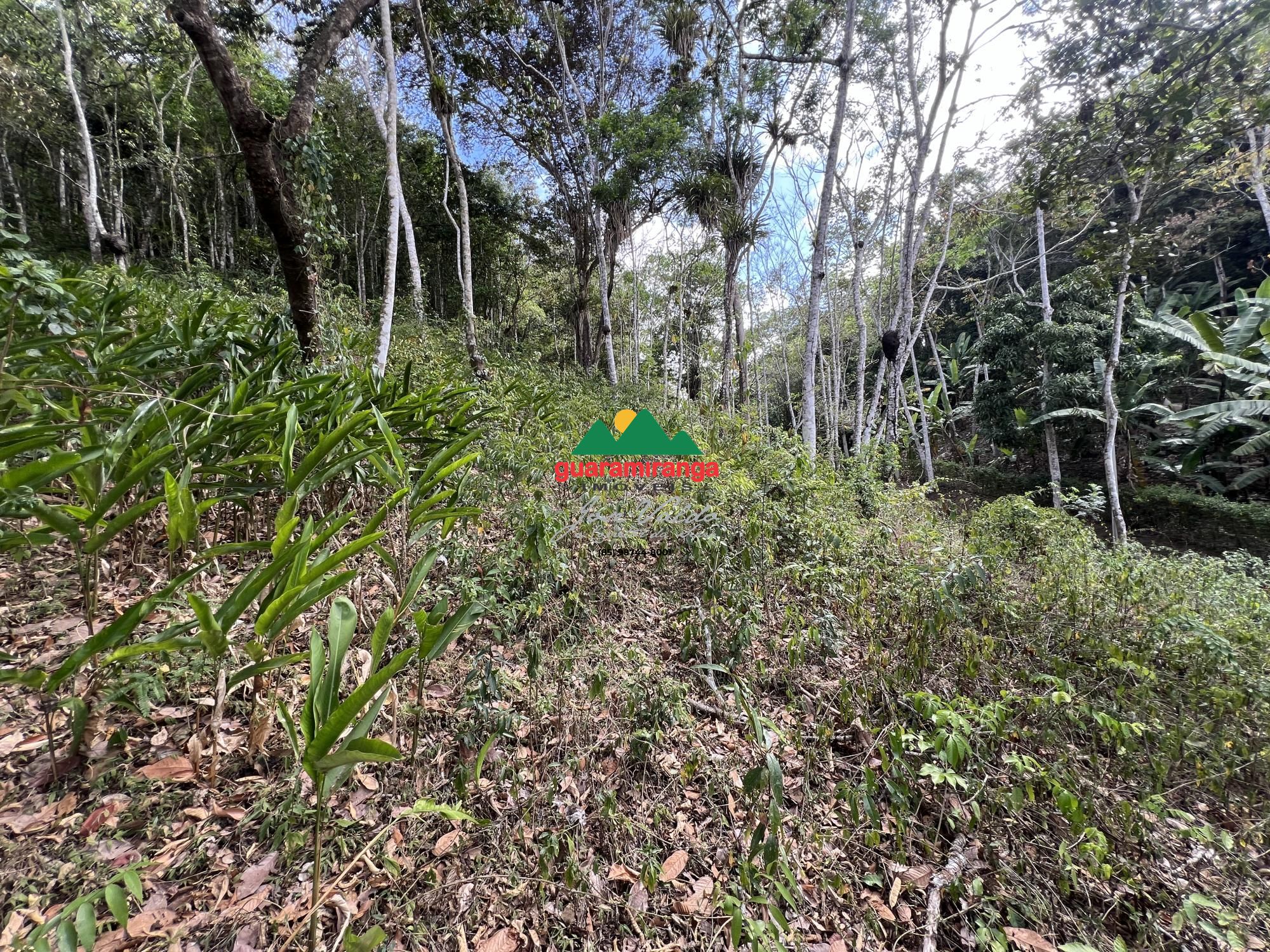 Terreno, 1 hectares - Foto 7
