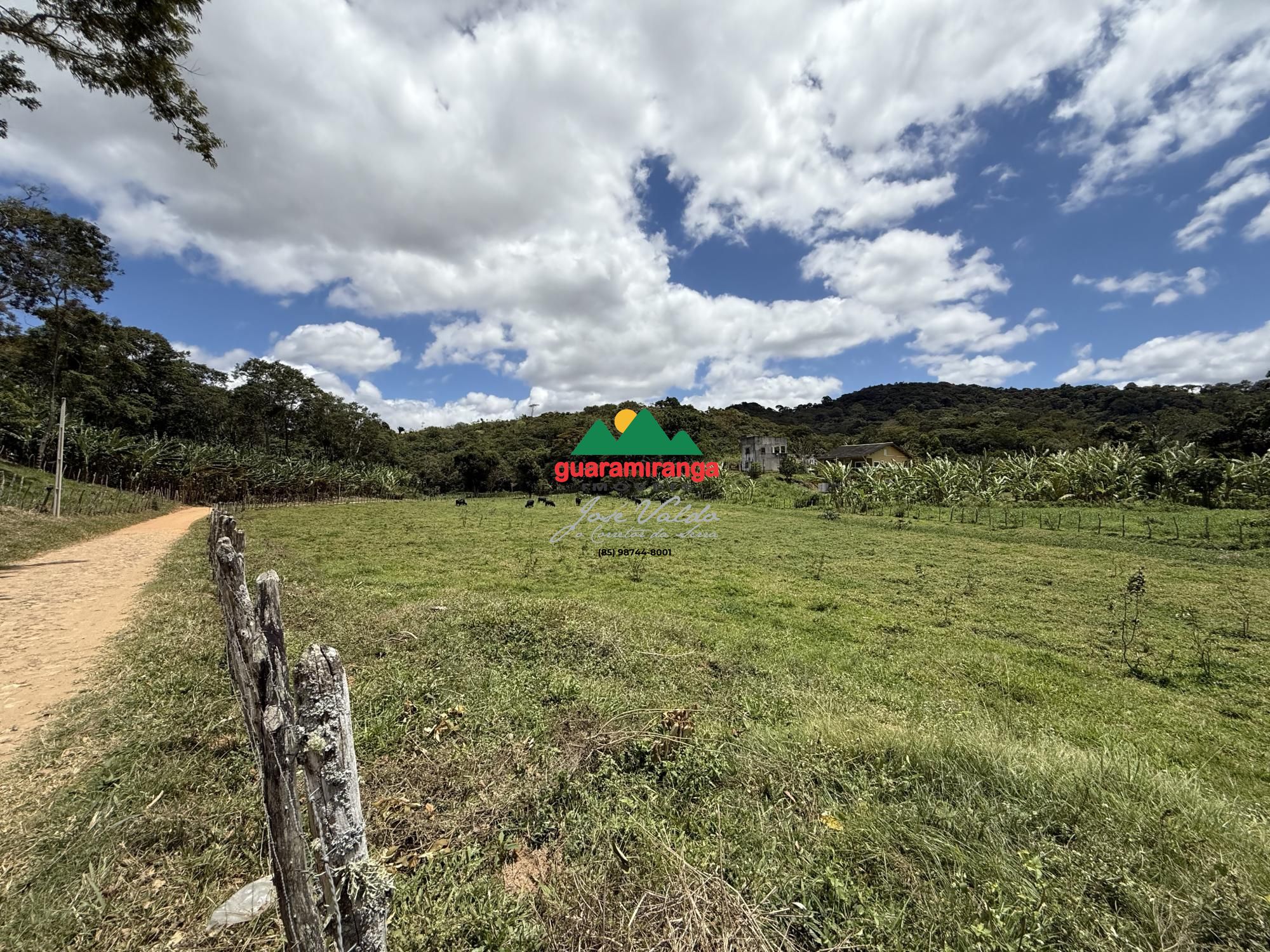 Sítio, 1 quarto, 6 hectares - Foto 18