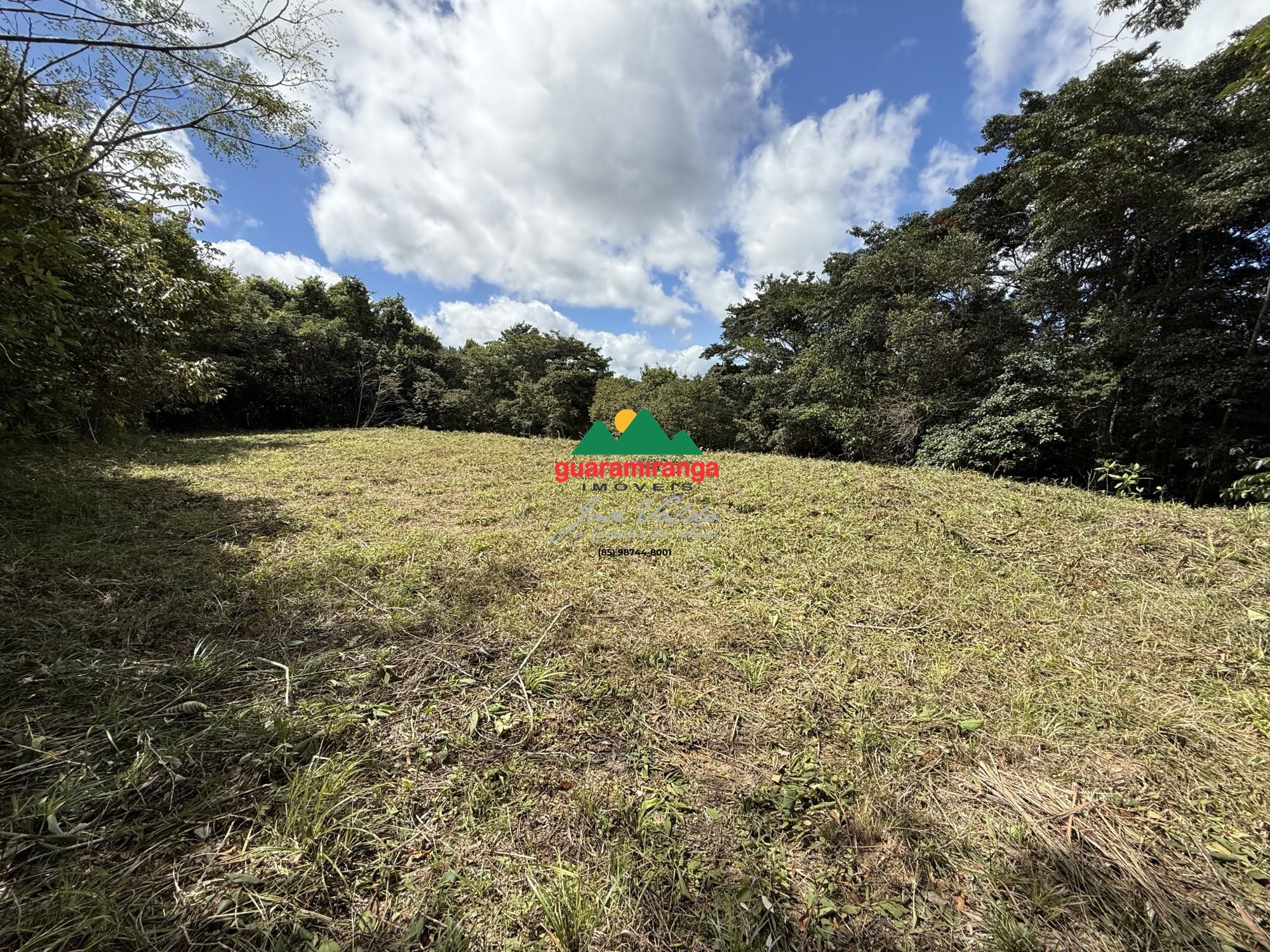 Terreno, 2 hectares - Foto 15