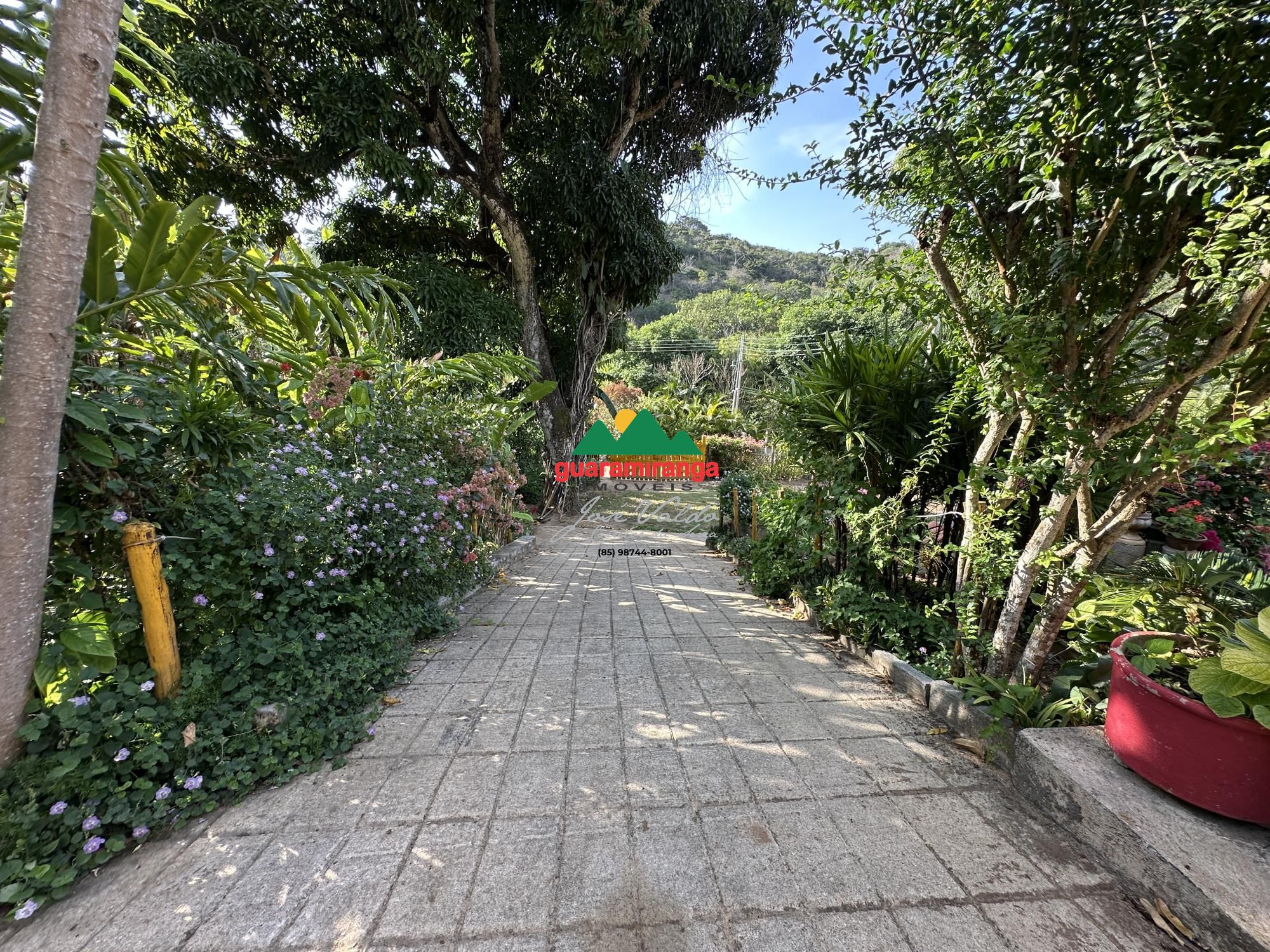 Sítio, 4 quartos, 3 hectares - Foto 46