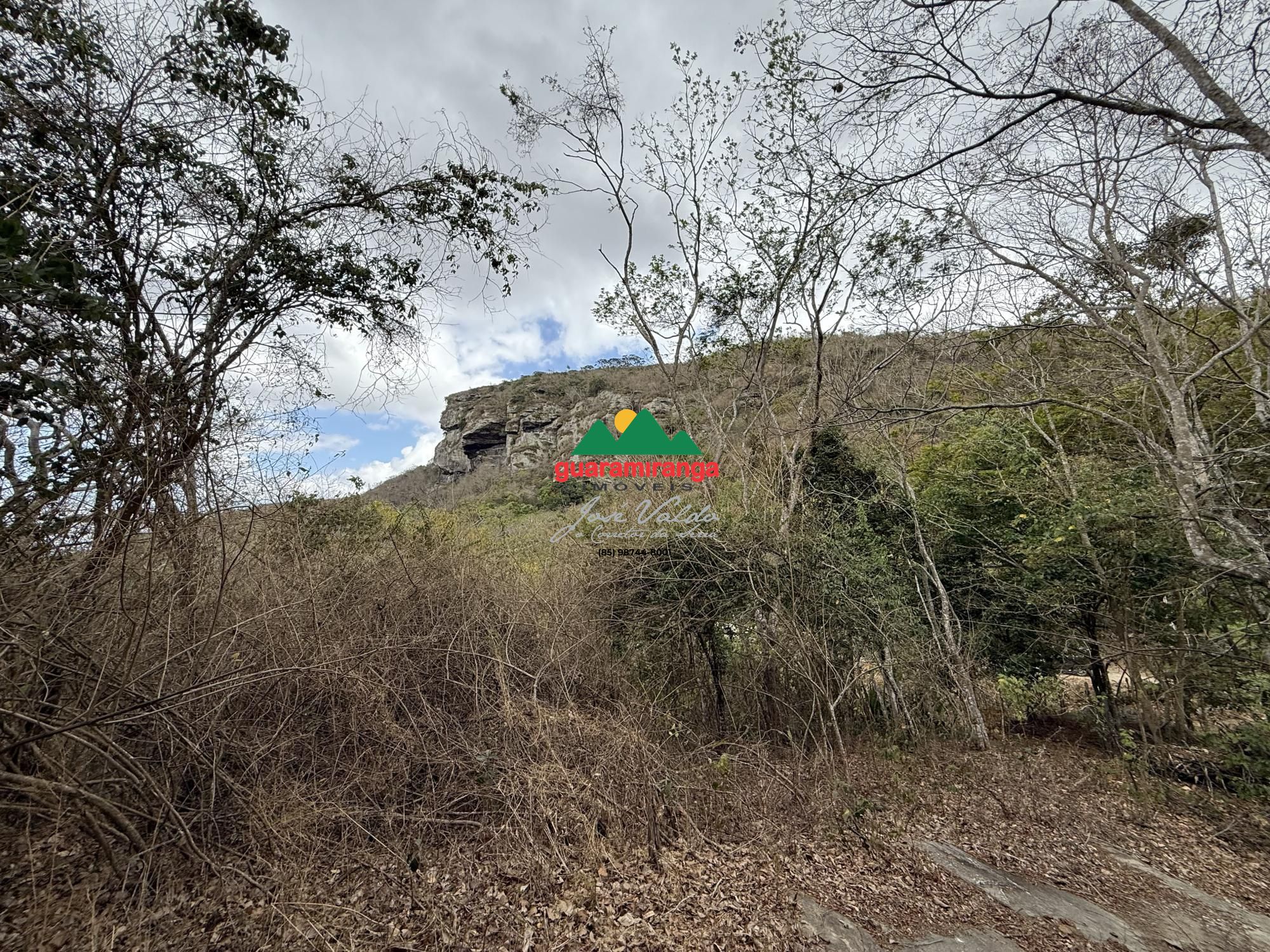 Chácara, 2 quartos, 7 hectares - Foto 7