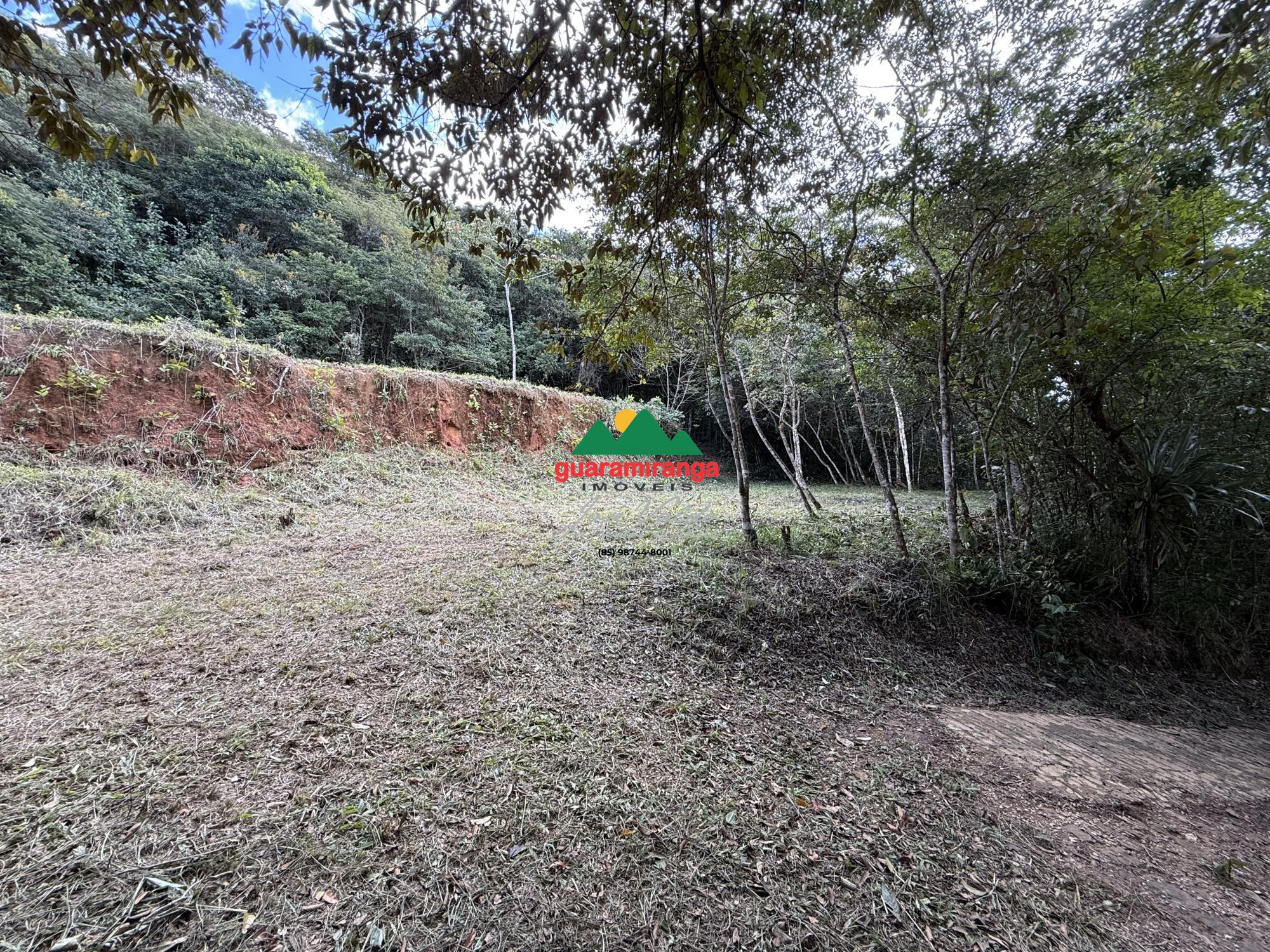 Terreno, 2 hectares - Foto 12