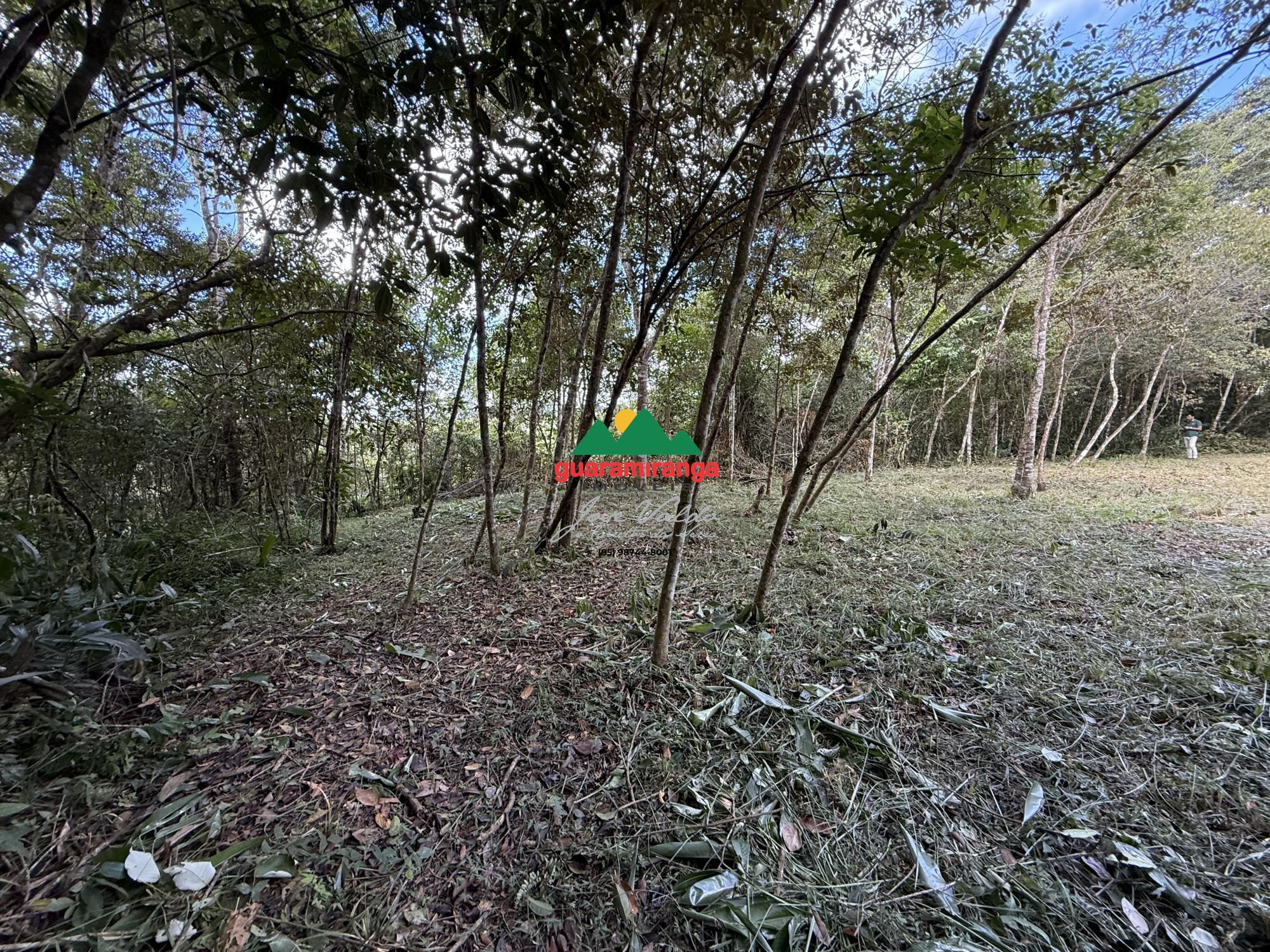 Terreno, 2 hectares - Foto 11