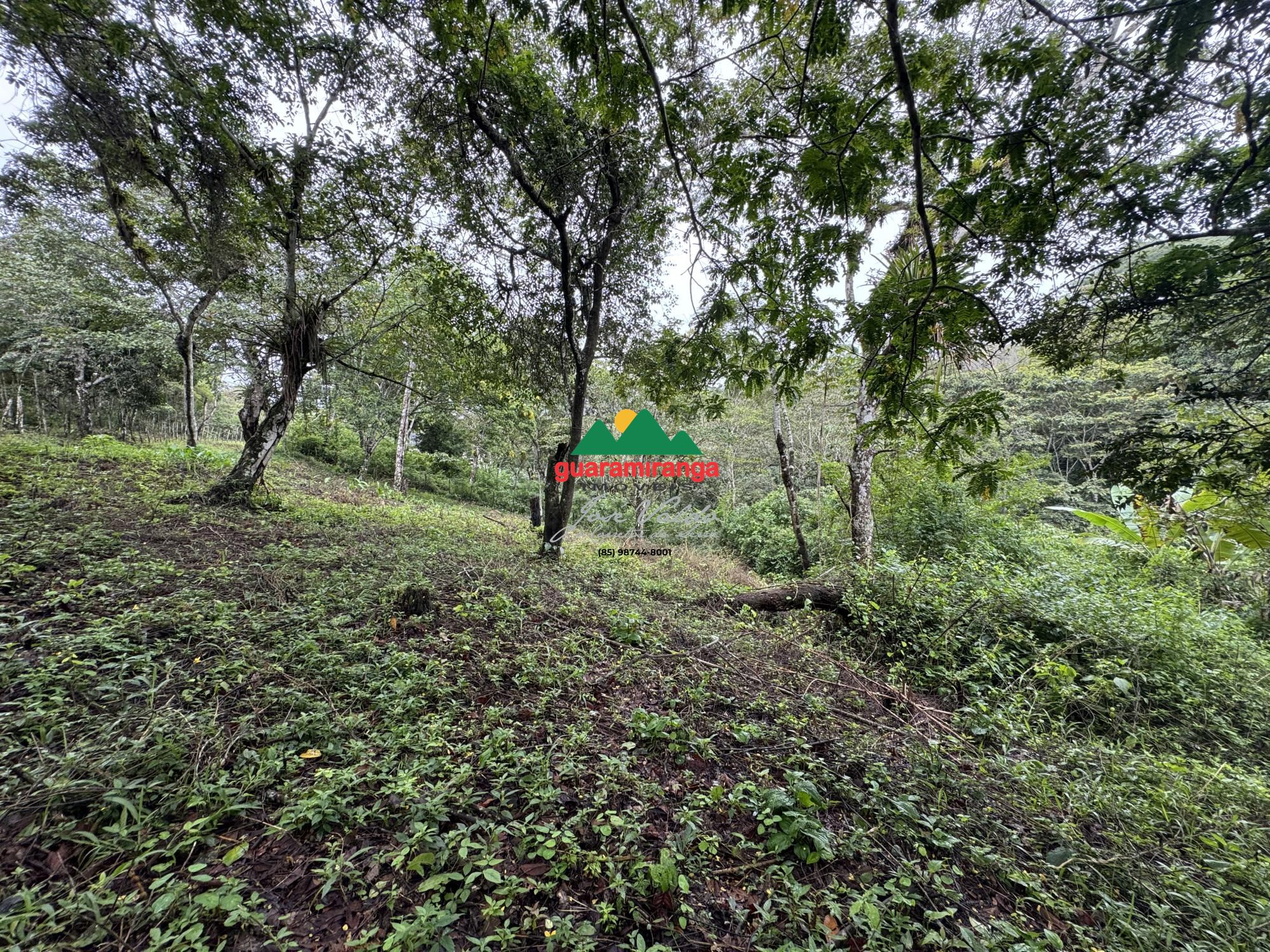 Terreno, 7675 m² - Foto 6