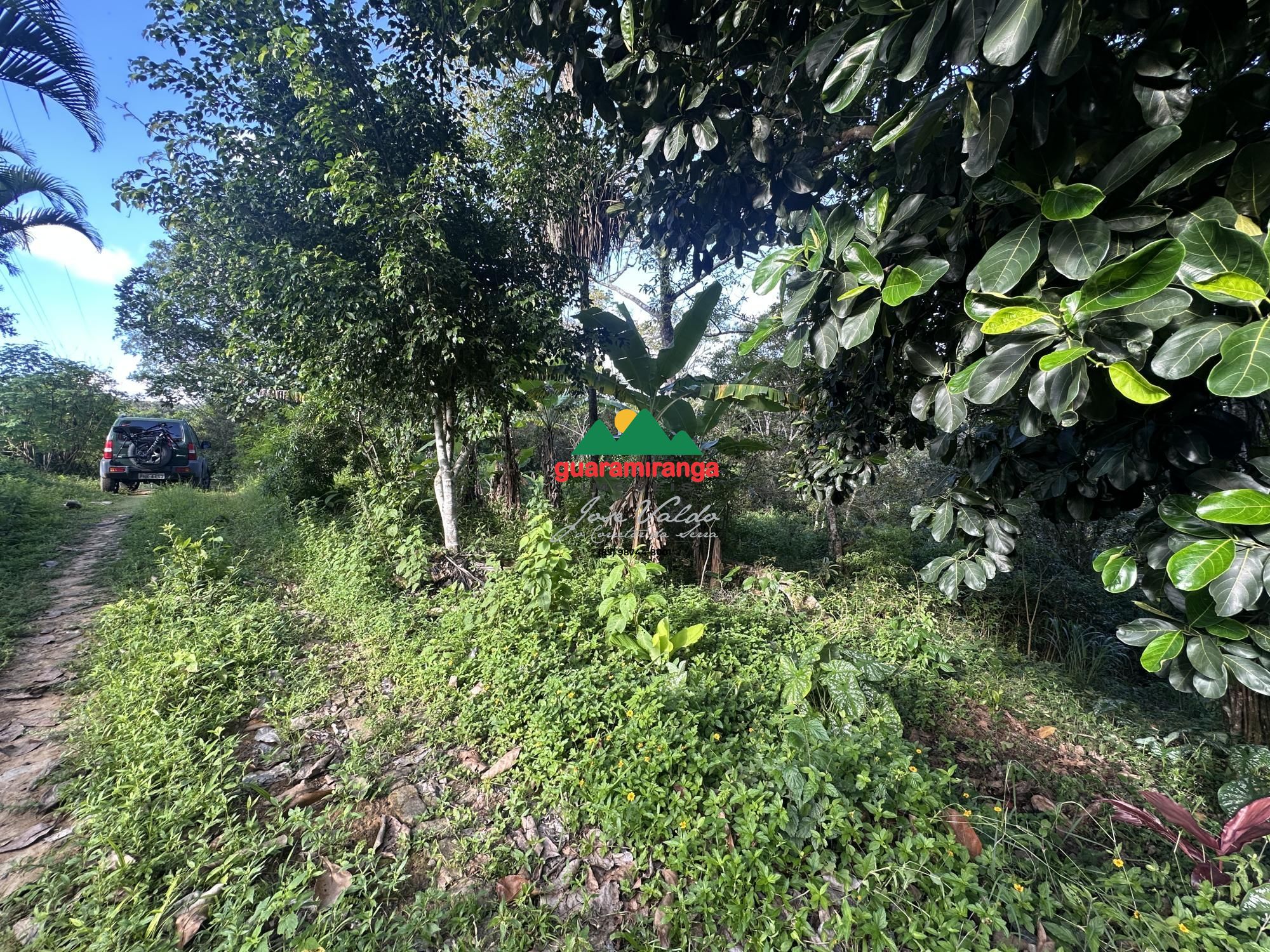 Sítio, 2 quartos, 4 hectares - Foto 4
