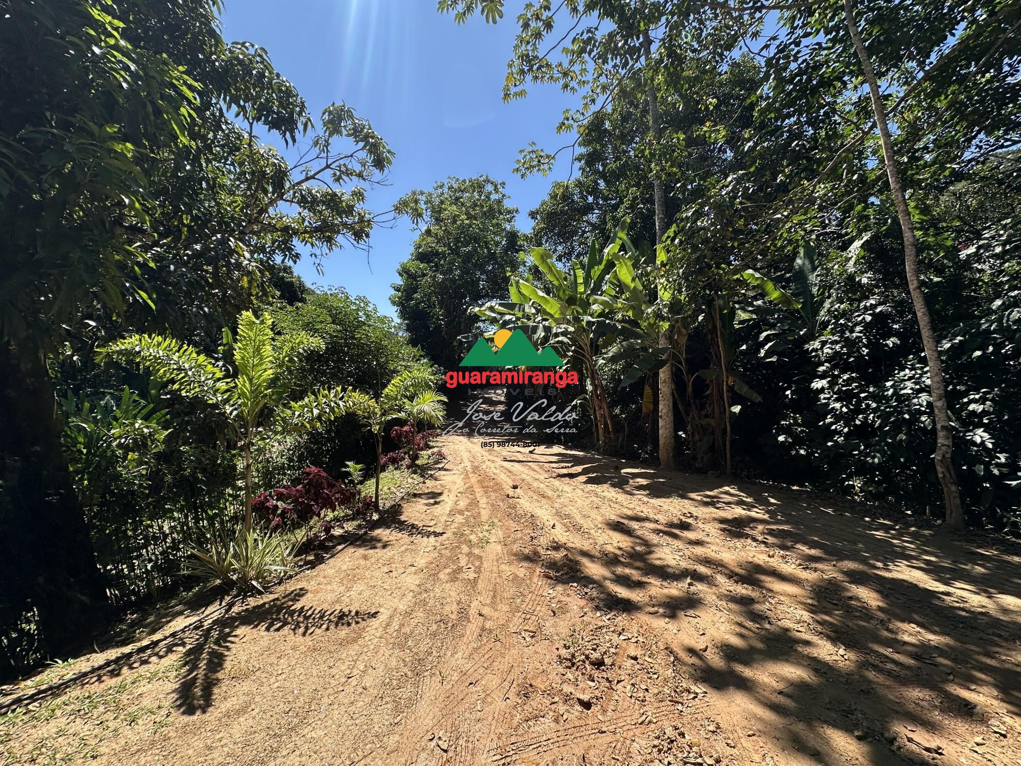 Sítio 2 dormitórios à venda bom sucesso guaramiranga/ce - foto 14