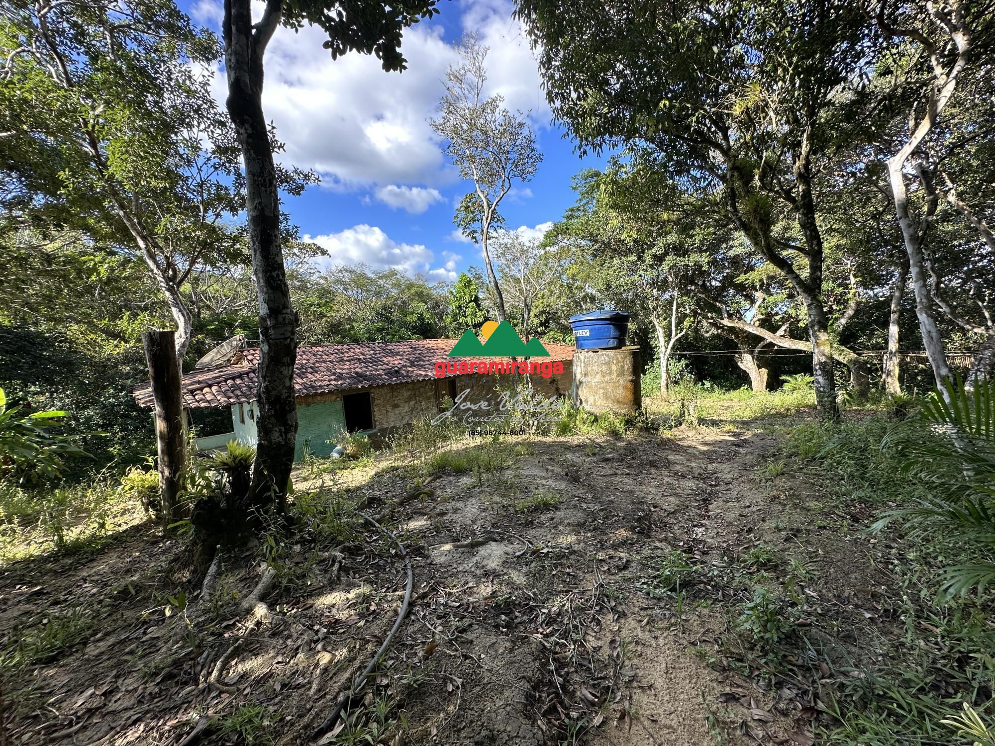 Sítio, 3 quartos, 3 hectares - Foto 29