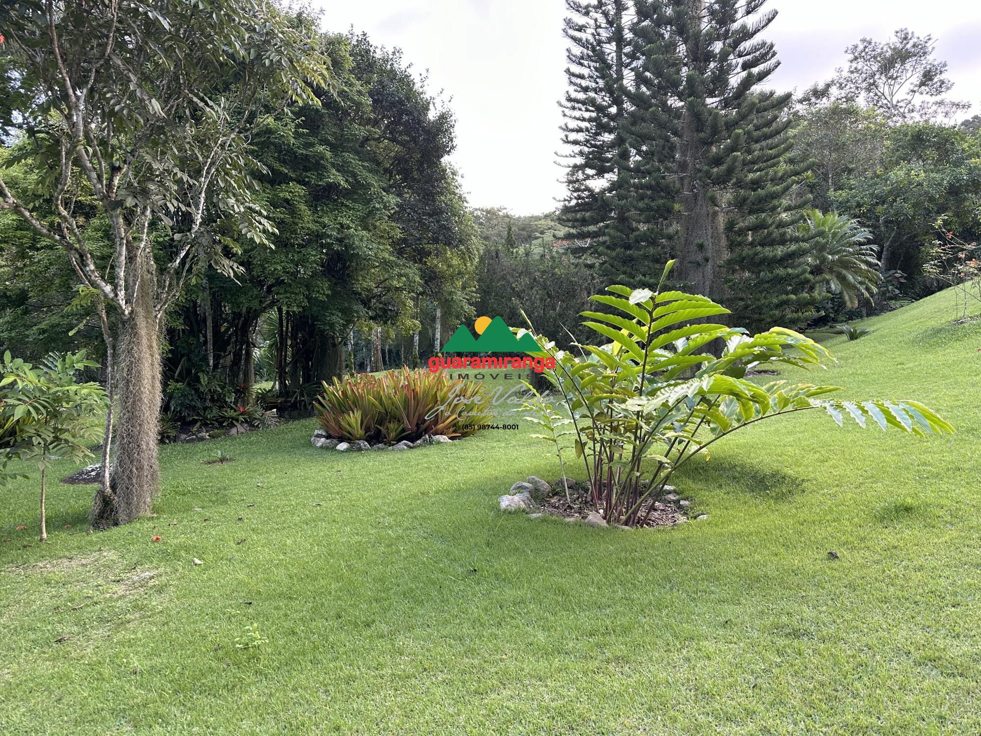 Sítio, 6 quartos, 3 hectares - Foto 76