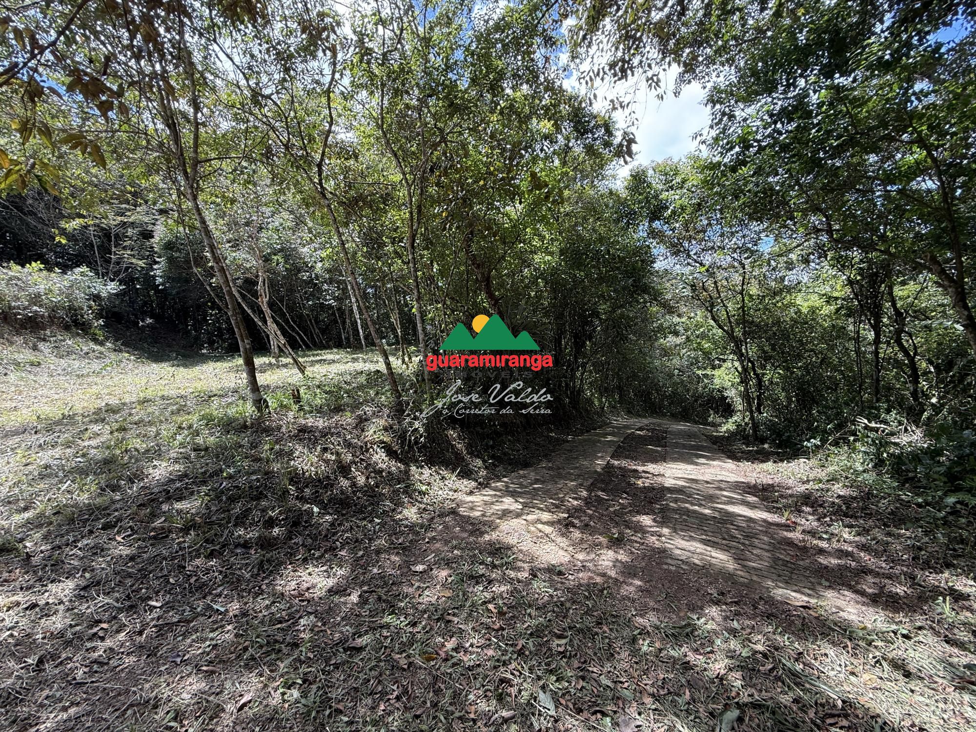 Terreno, 2 hectares - Foto 7