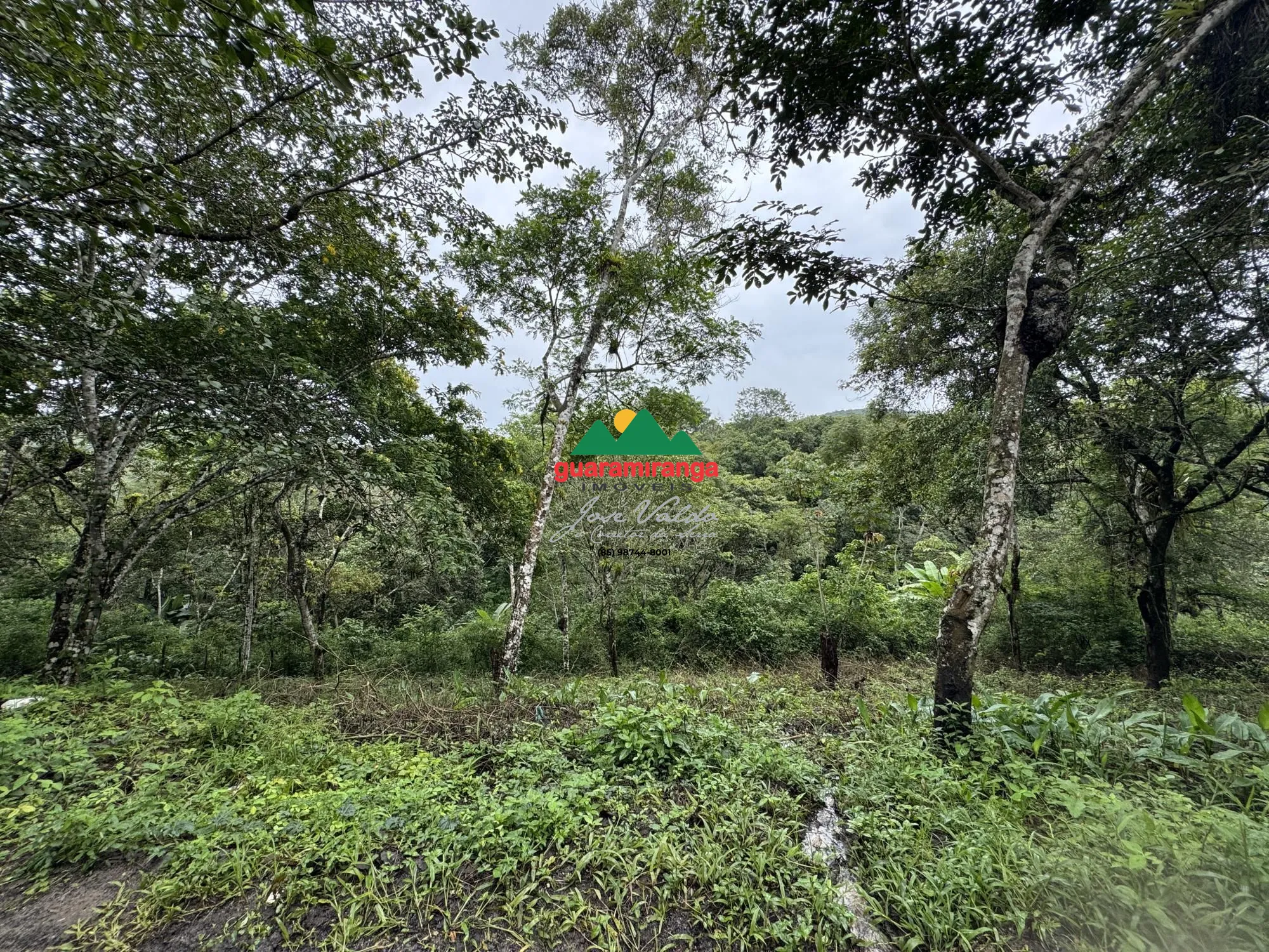 Terreno/Lote à venda  no Zona Rural - Guaramiranga, CE. Imóveis
