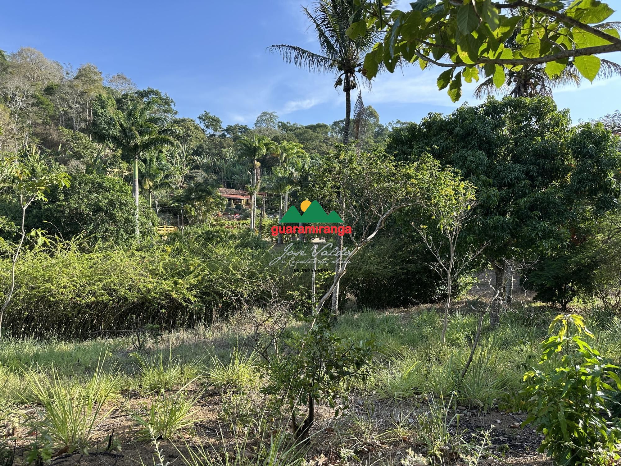 Sítio, 4 quartos, 3 hectares - Foto 60