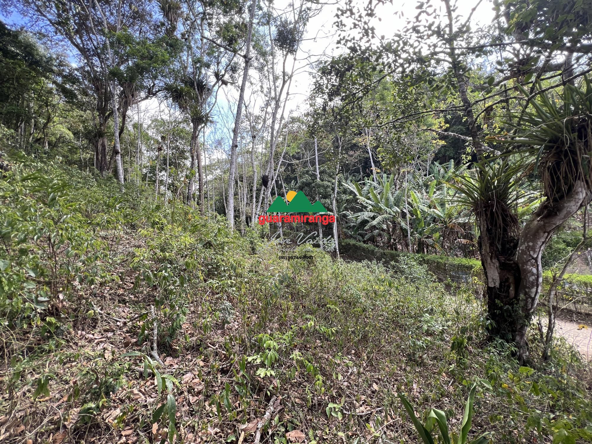 Terreno, 1 hectares - Foto 8