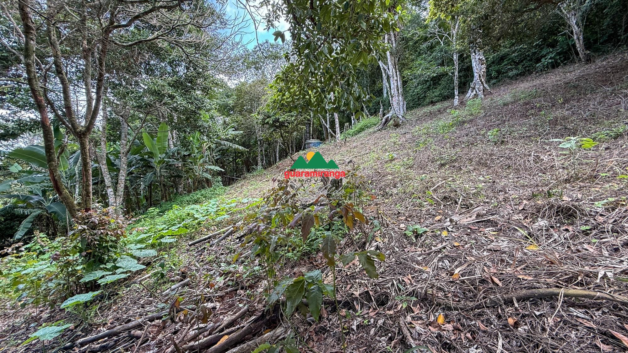 Chácara, 3 quartos, 17 m² - Foto 48