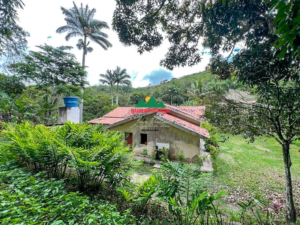 Sítio, 1 quarto, 39 hectares - Foto 8