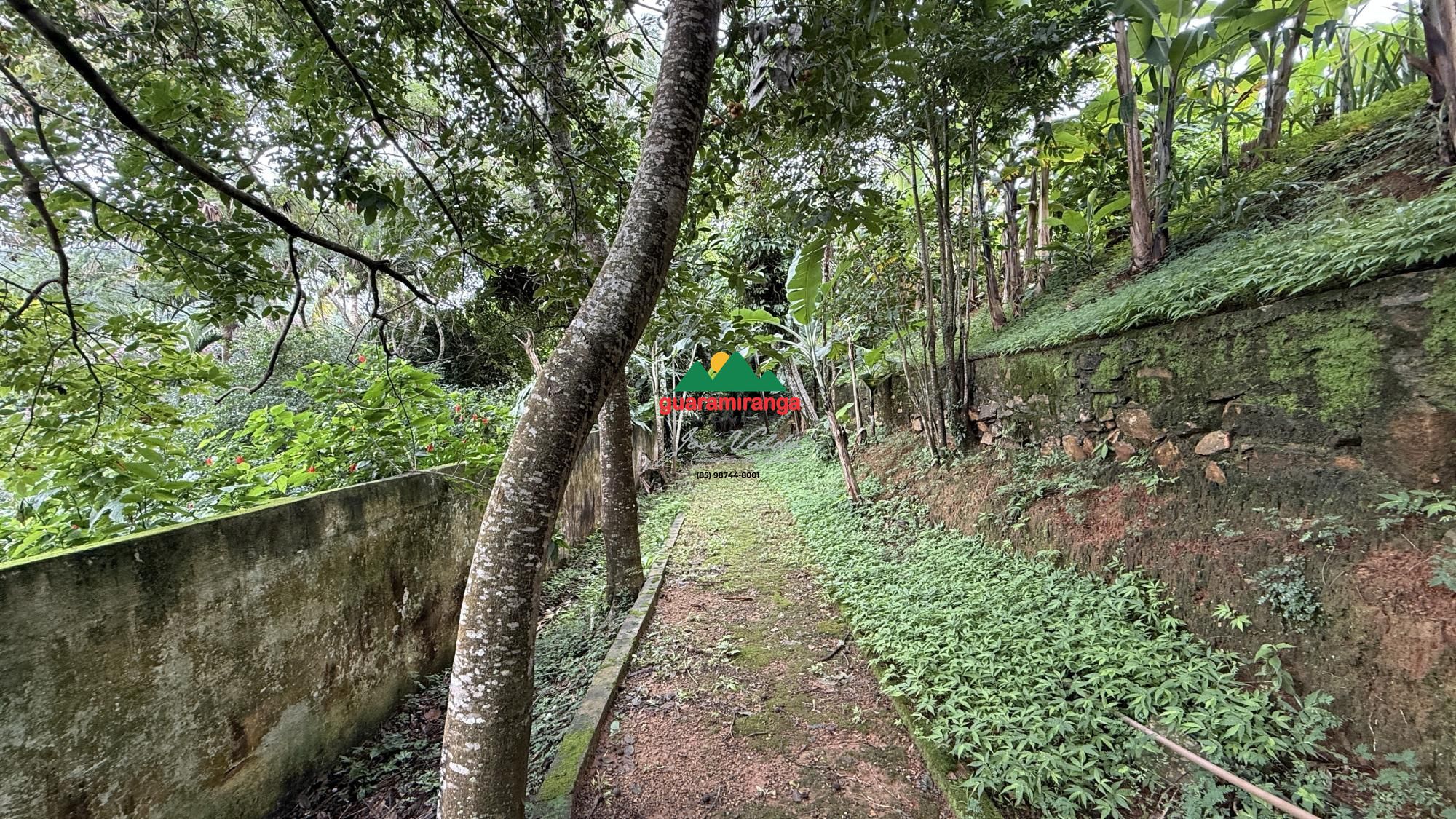 Sítio, 10 quartos, 2 hectares - Foto 36
