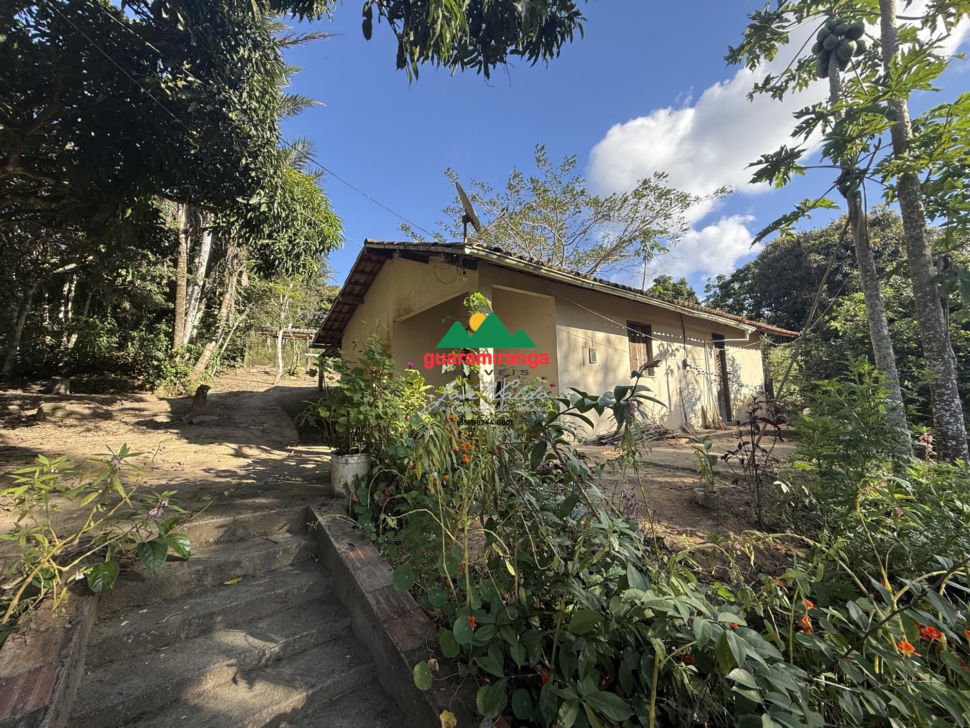 Sítio, 6 quartos, 6 hectares - Foto 38