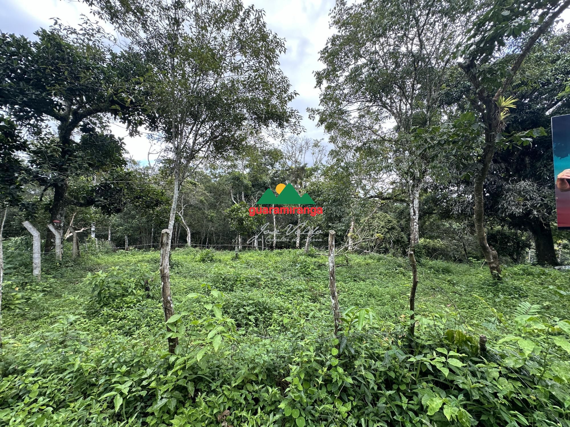 Terreno, 6059 m² - Foto 1