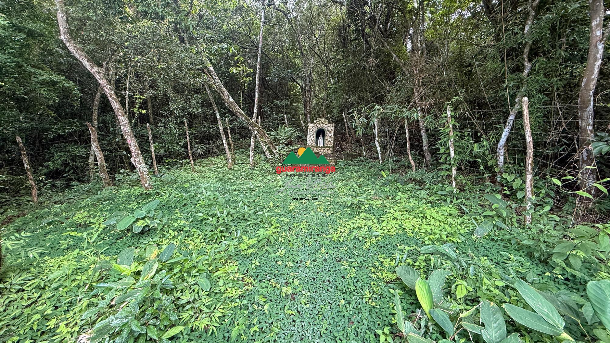 Chácara, 3 quartos, 17 m² - Foto 51