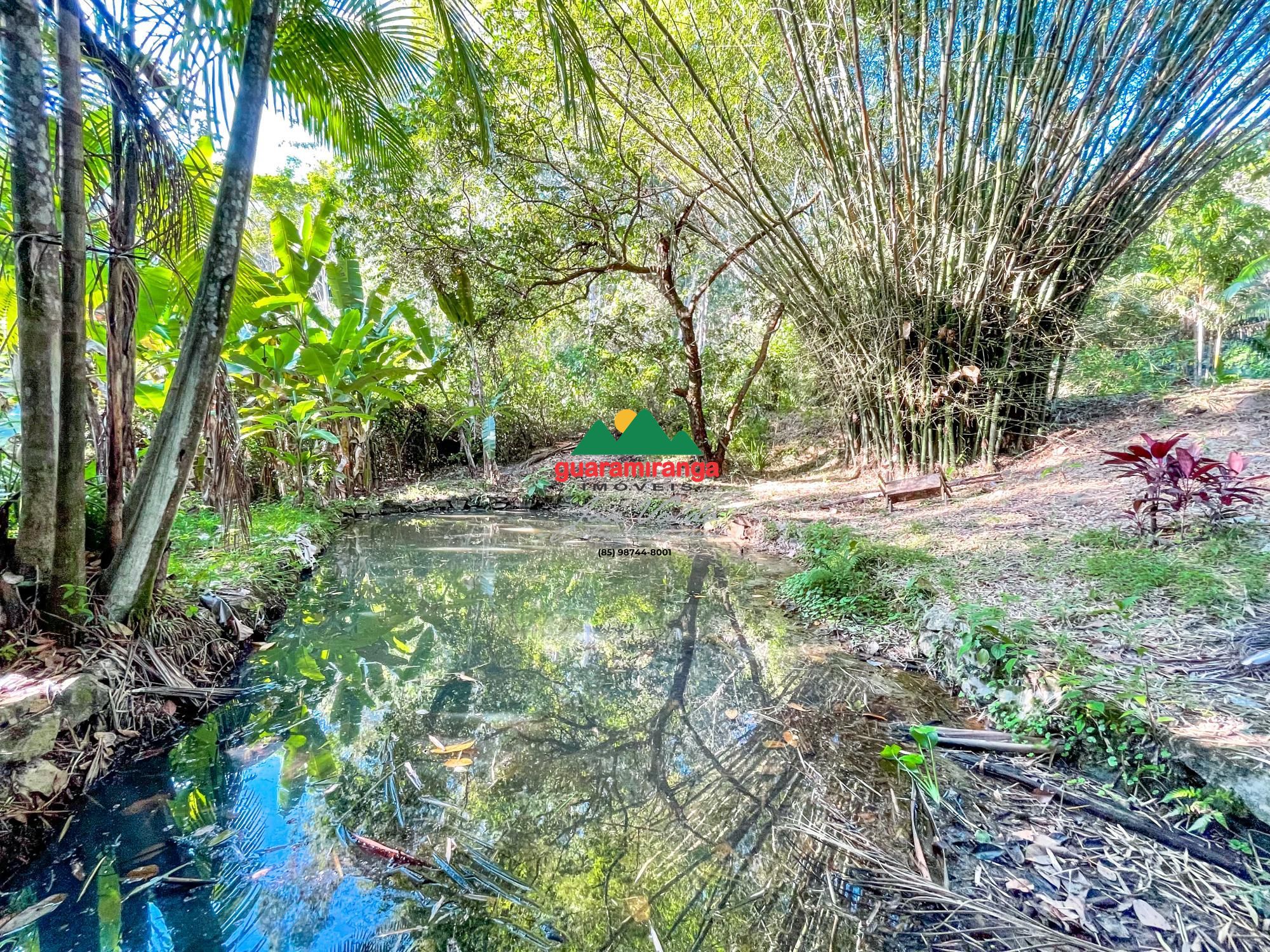 Sítio, 8 quartos, 7 hectares - Foto 12