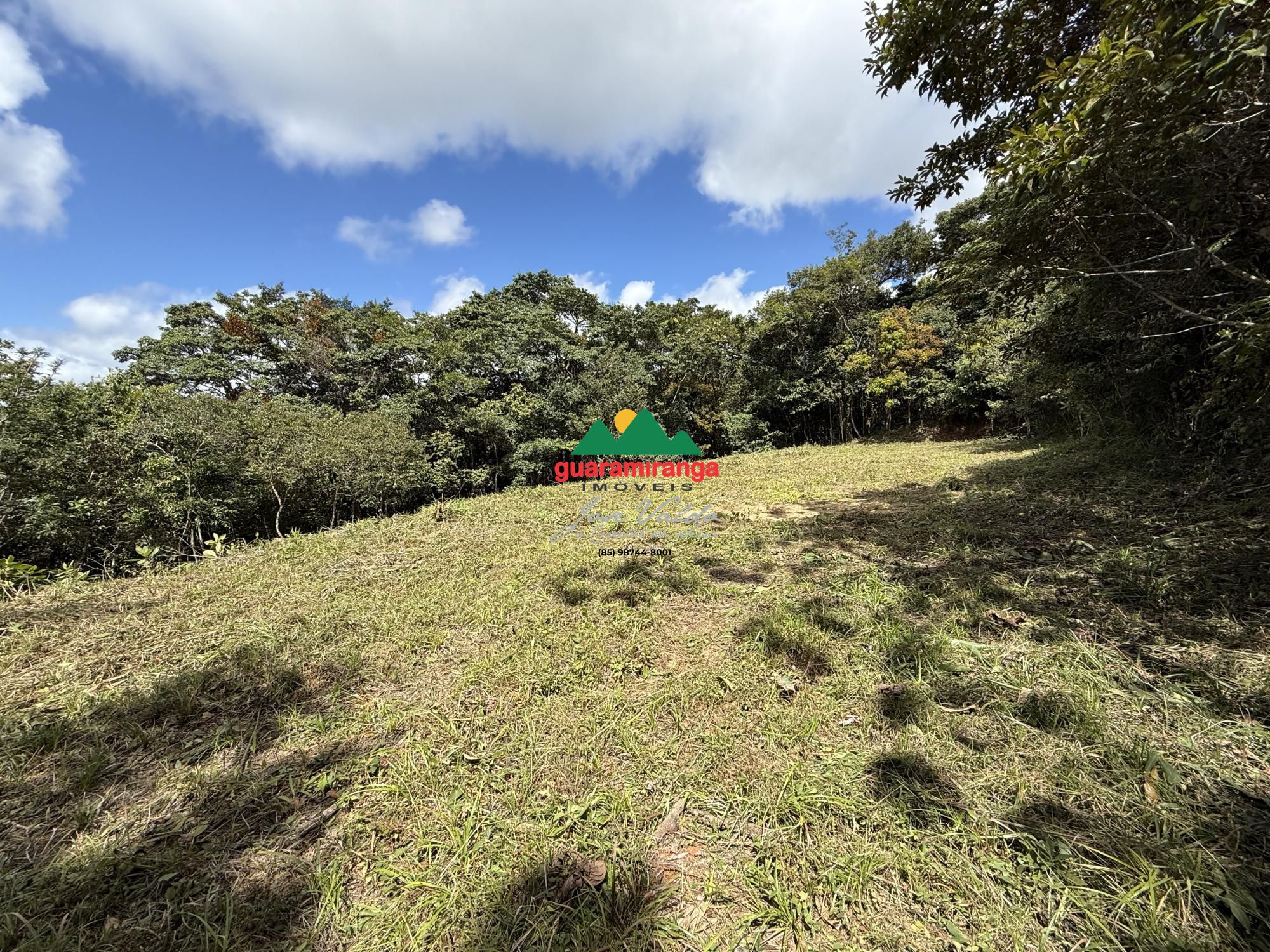 Terreno, 2 hectares - Foto 16