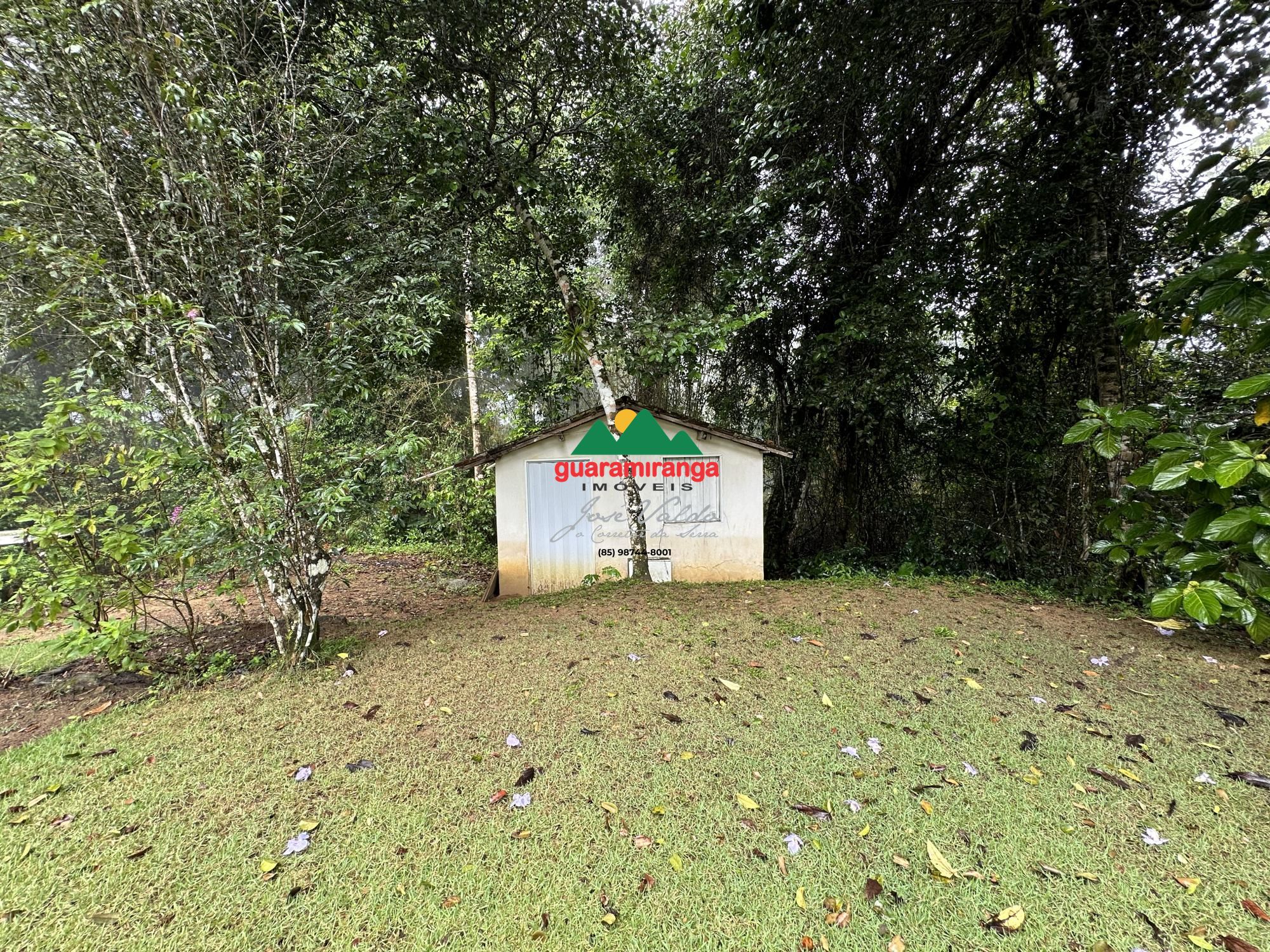 Chácara, 4 quartos, 8 hectares - Foto 19