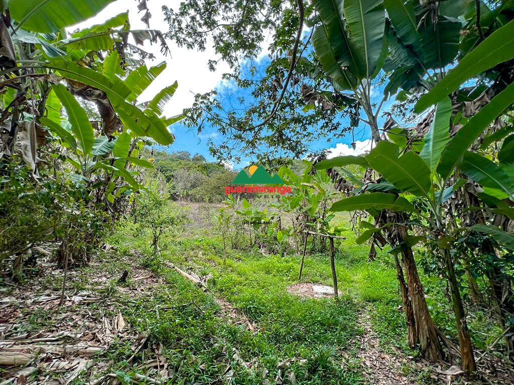 Sítio, 1 quarto, 39 hectares - Foto 16
